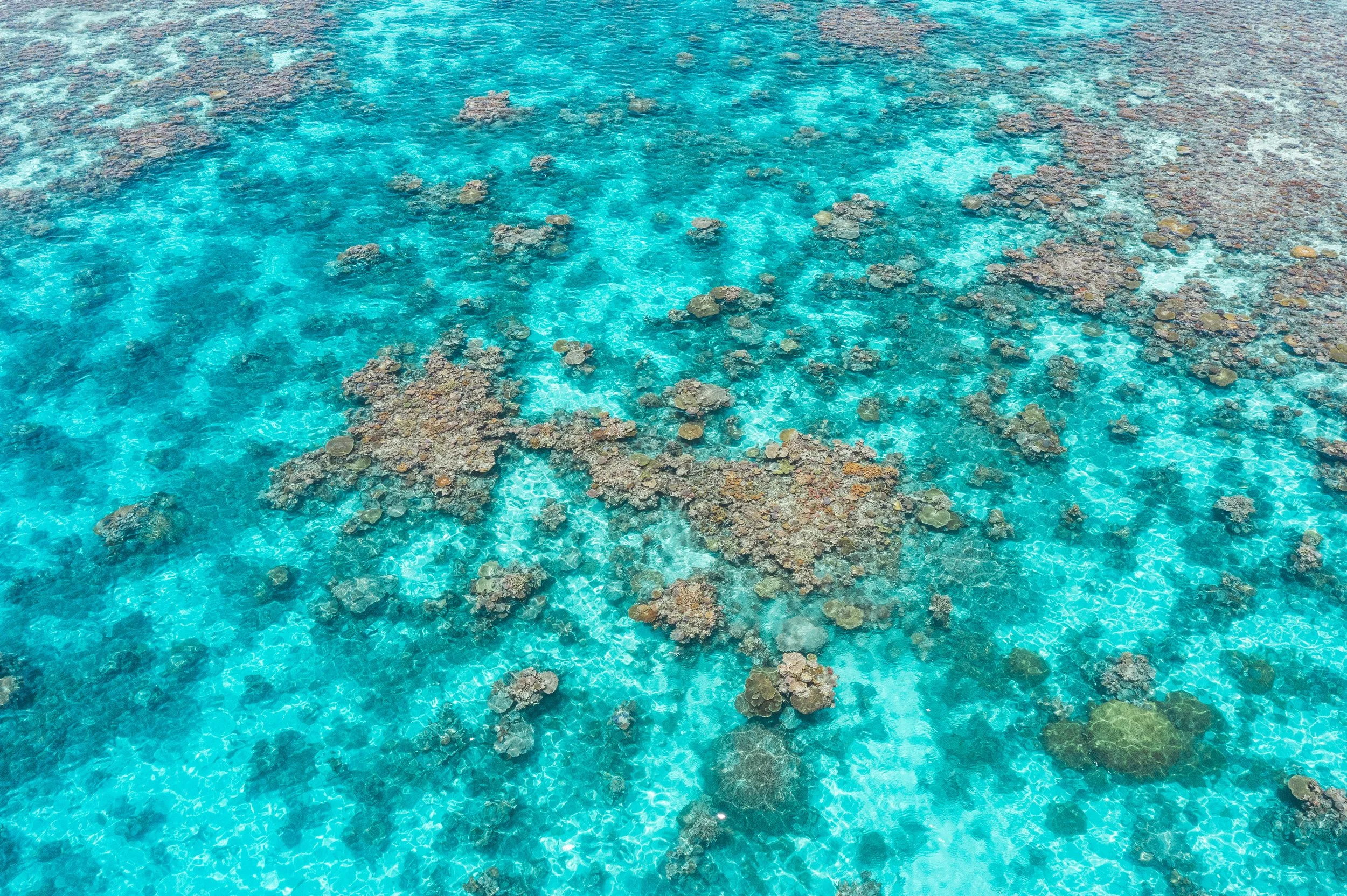 DJI_0260.jpg