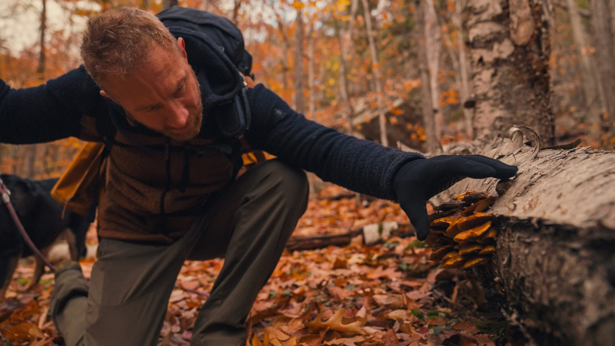 NH Stills_01_00_15_00.jpg