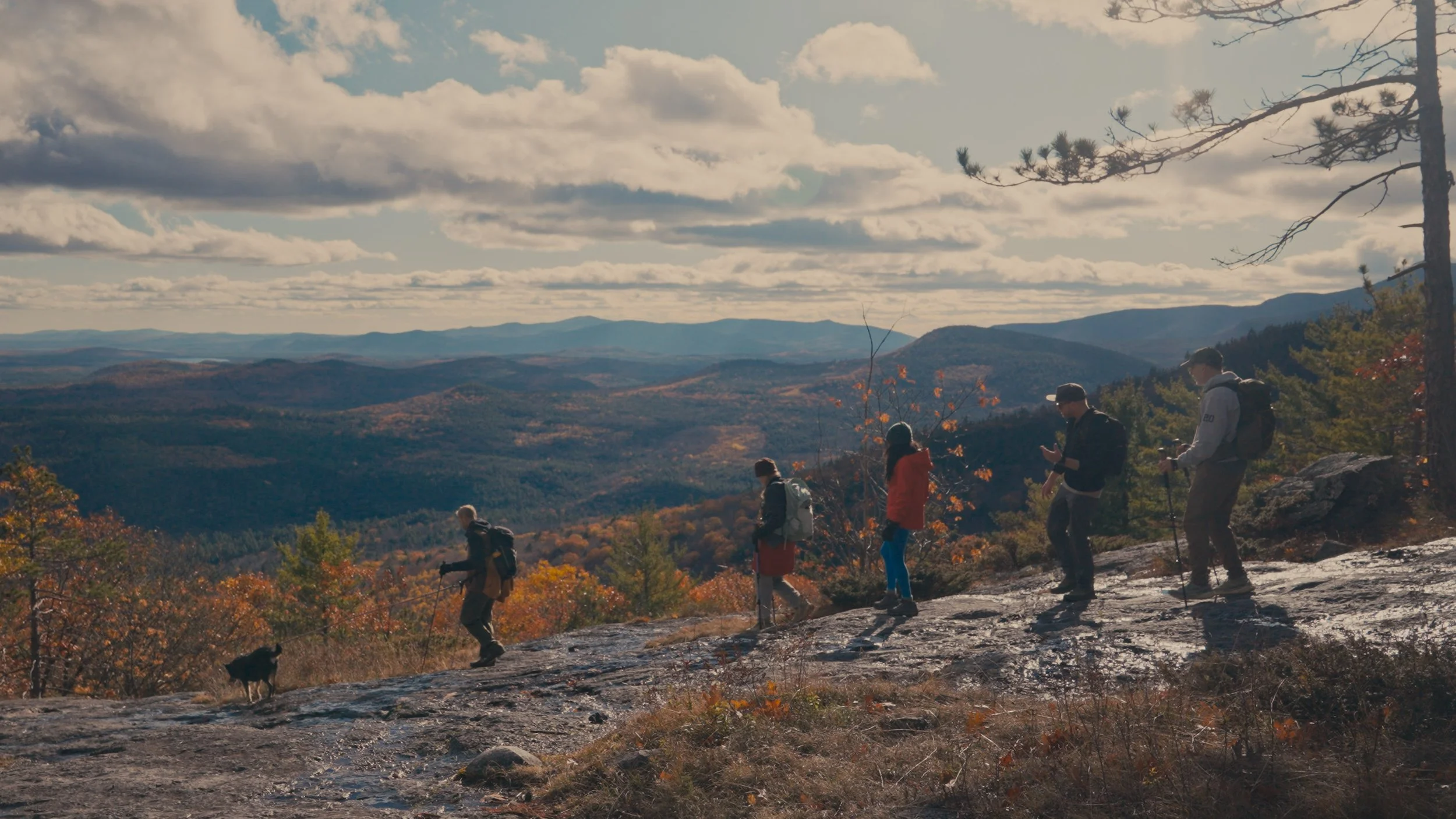 NH Stills_01_01_04_09.jpg
