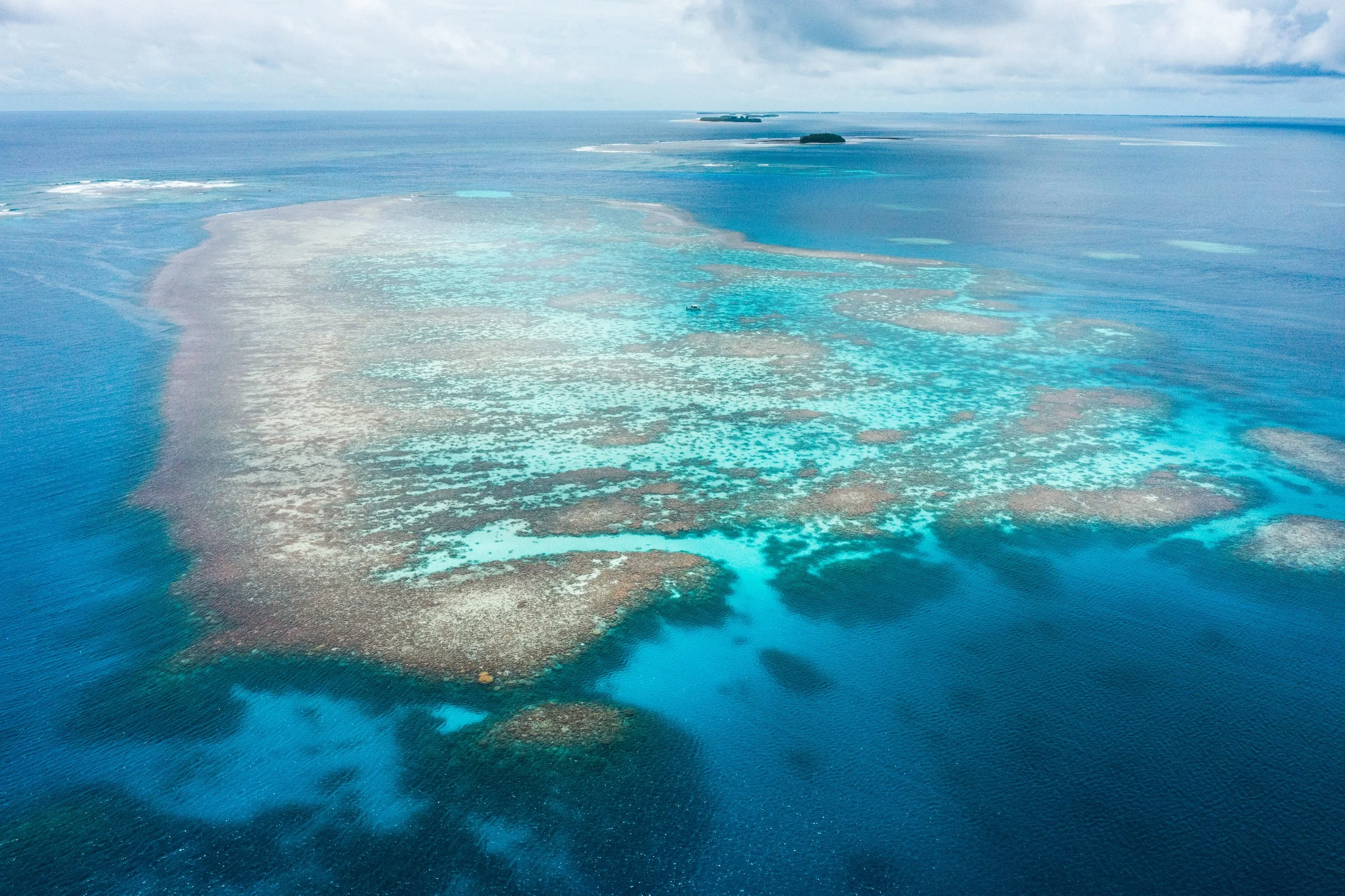 DJI_0242.jpg