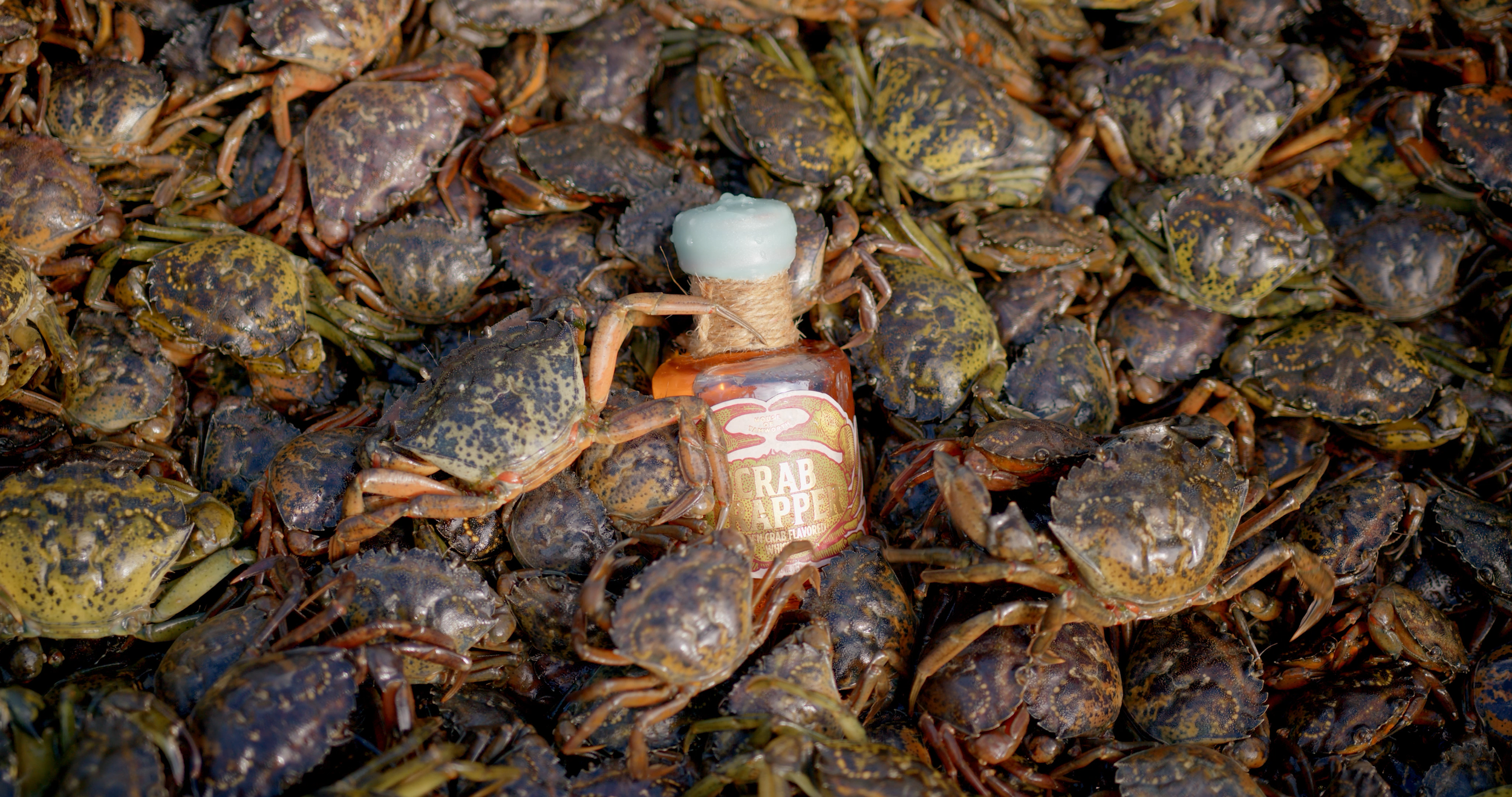 Tamworth Green Crab.png