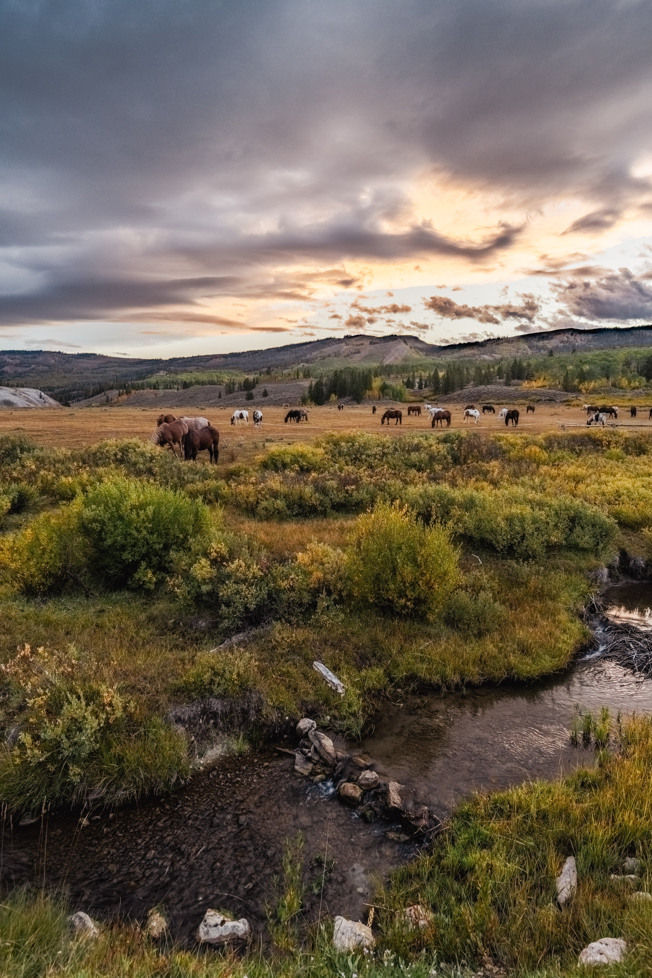 DSC_3984-HDR.jpg