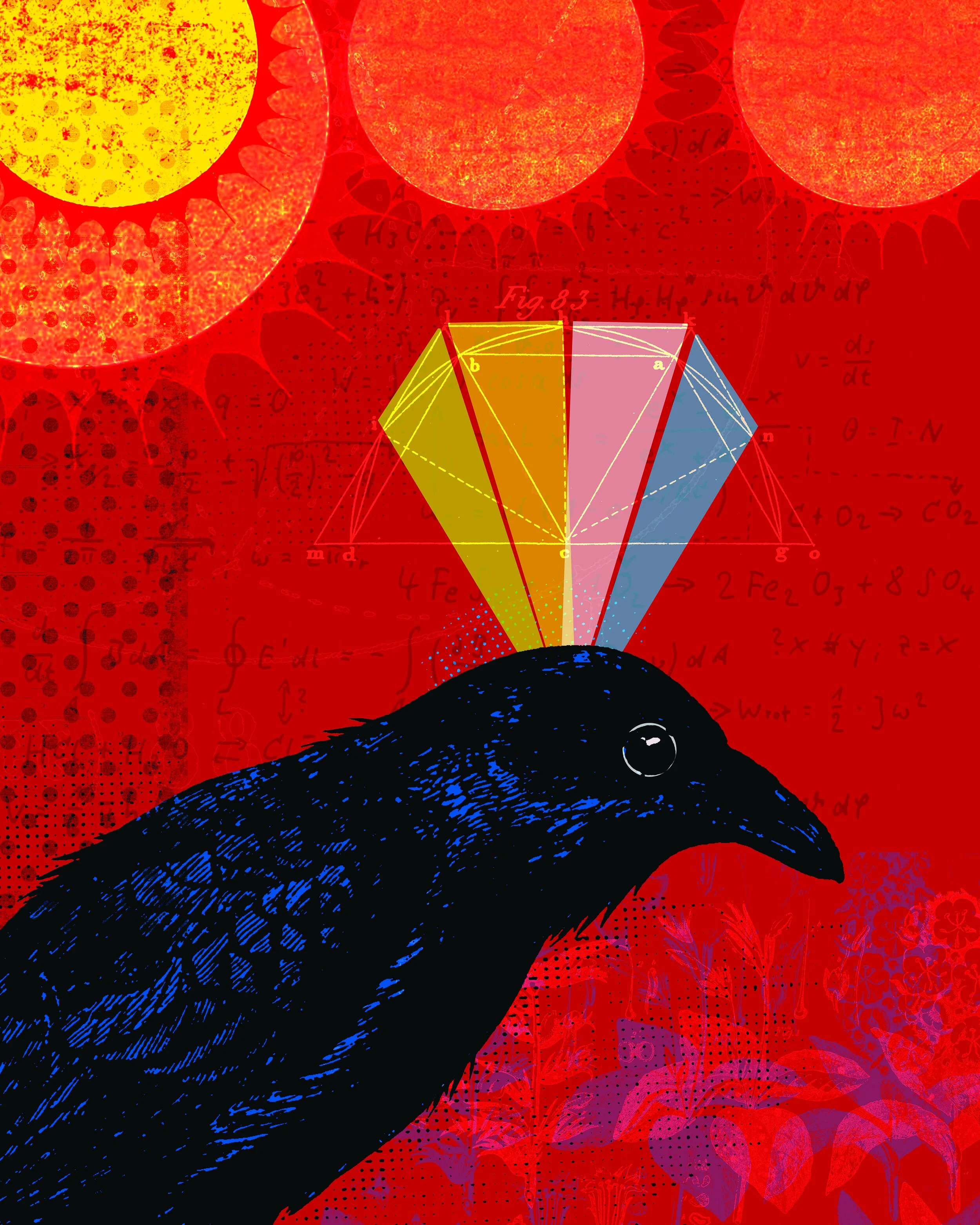 Media and growth systems visual