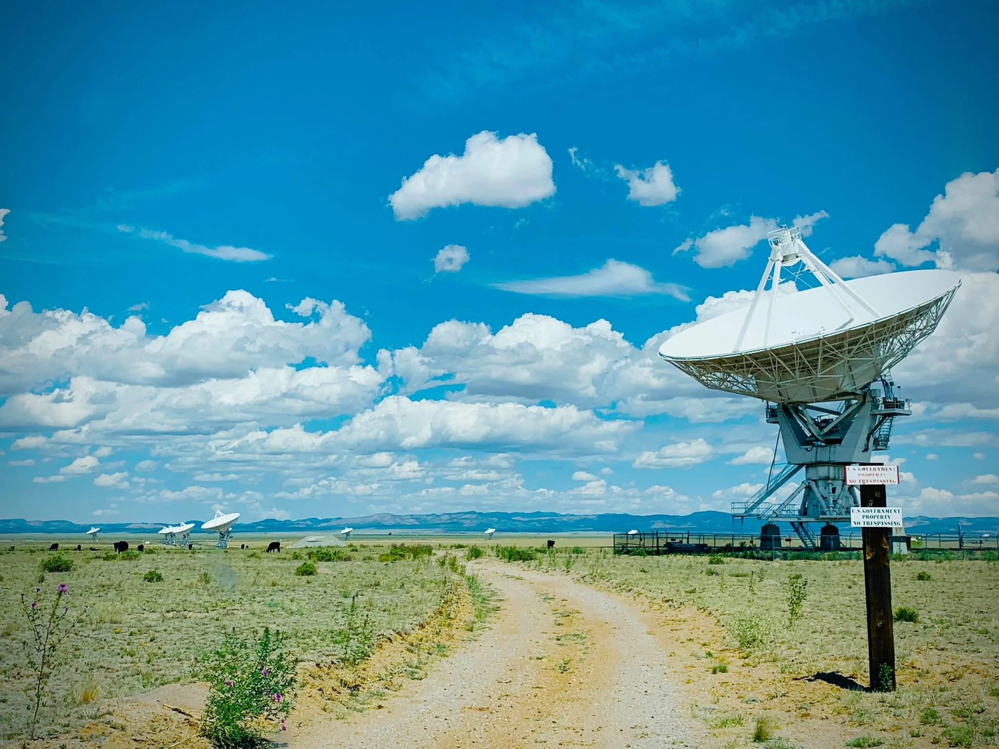 VLA (23).jpg