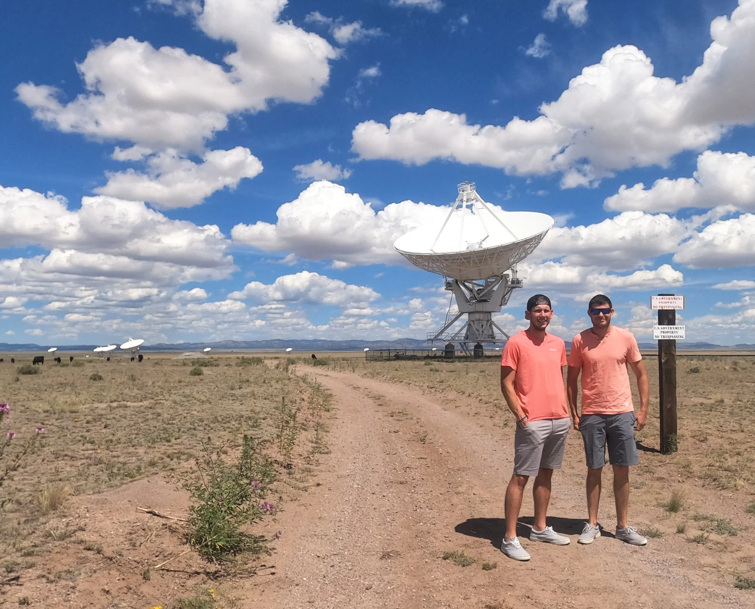 VLA (15).JPG