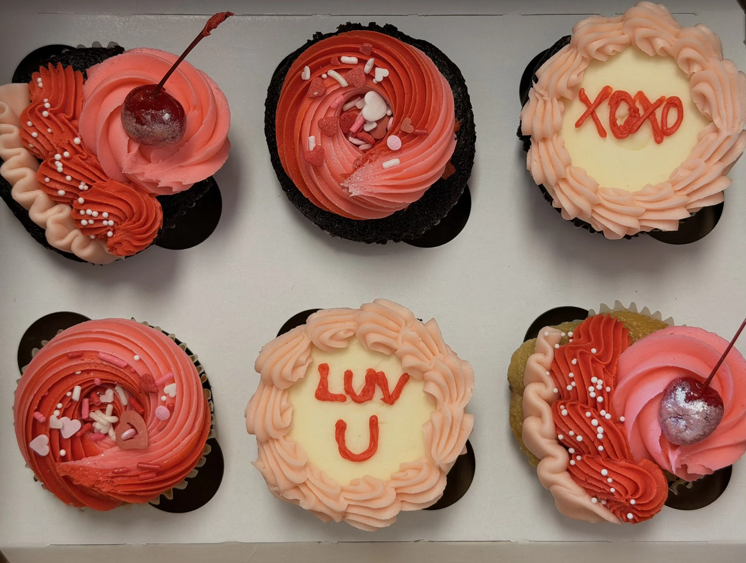 Valentine's Day Cupcake Six Pack