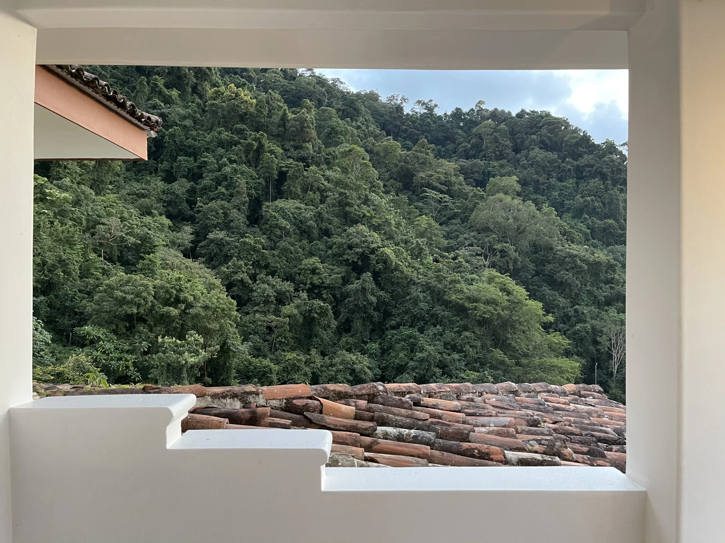 Framed Roof Jungle Casa 1 SCS.jpg