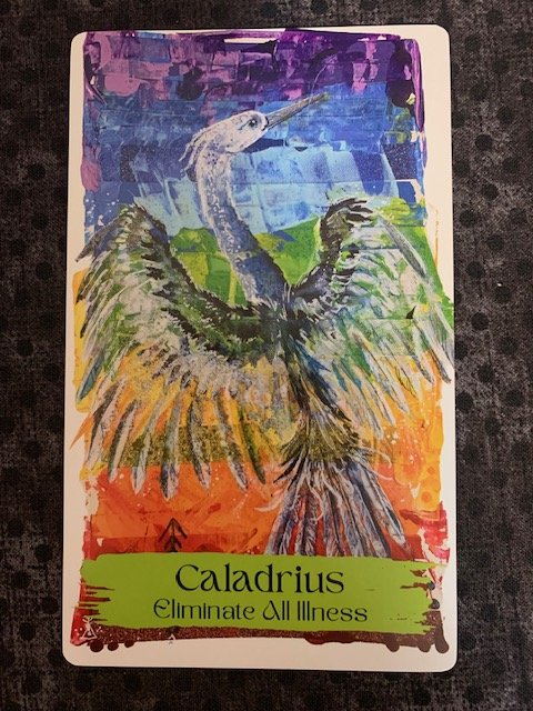 Wild TalismAnimals Caladrius