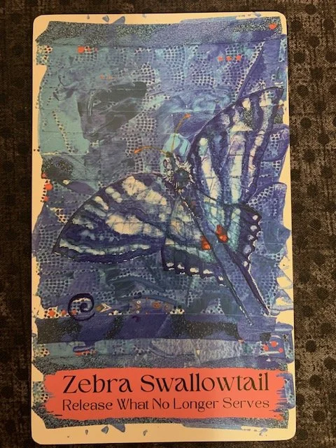 Wild TalismAnimals Zebra Swallowtail
