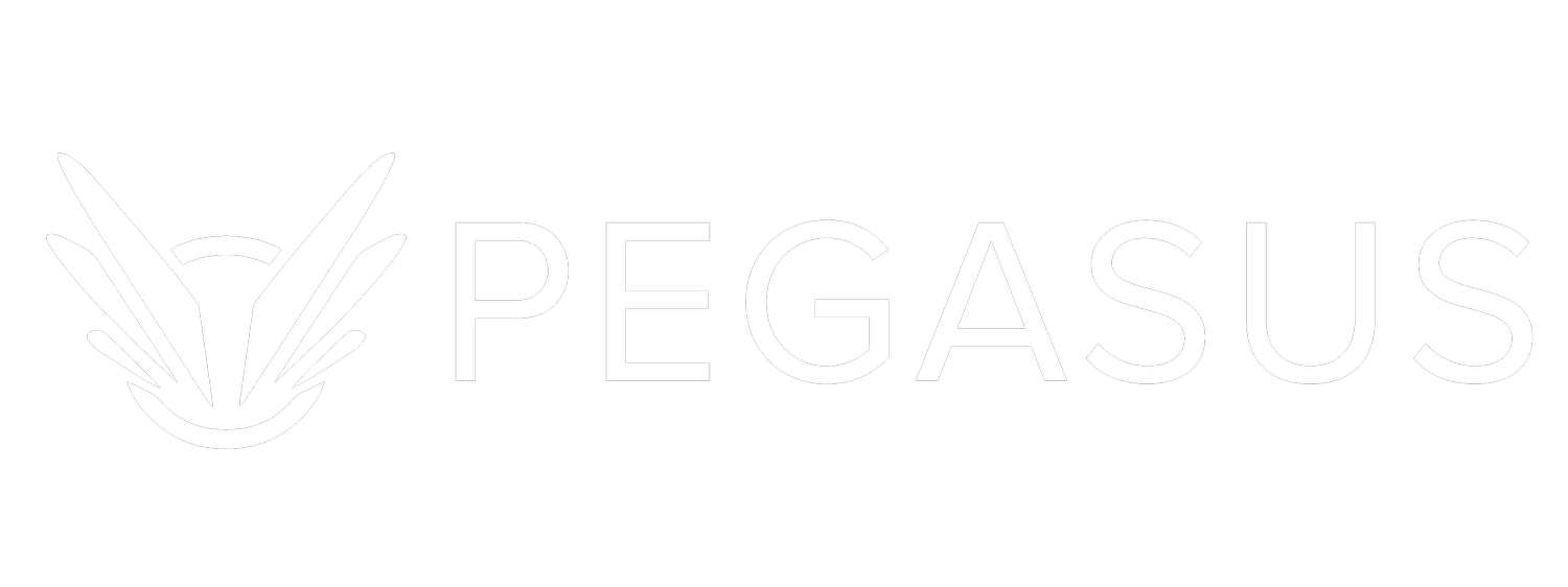 Pegasus Workplace Solutions