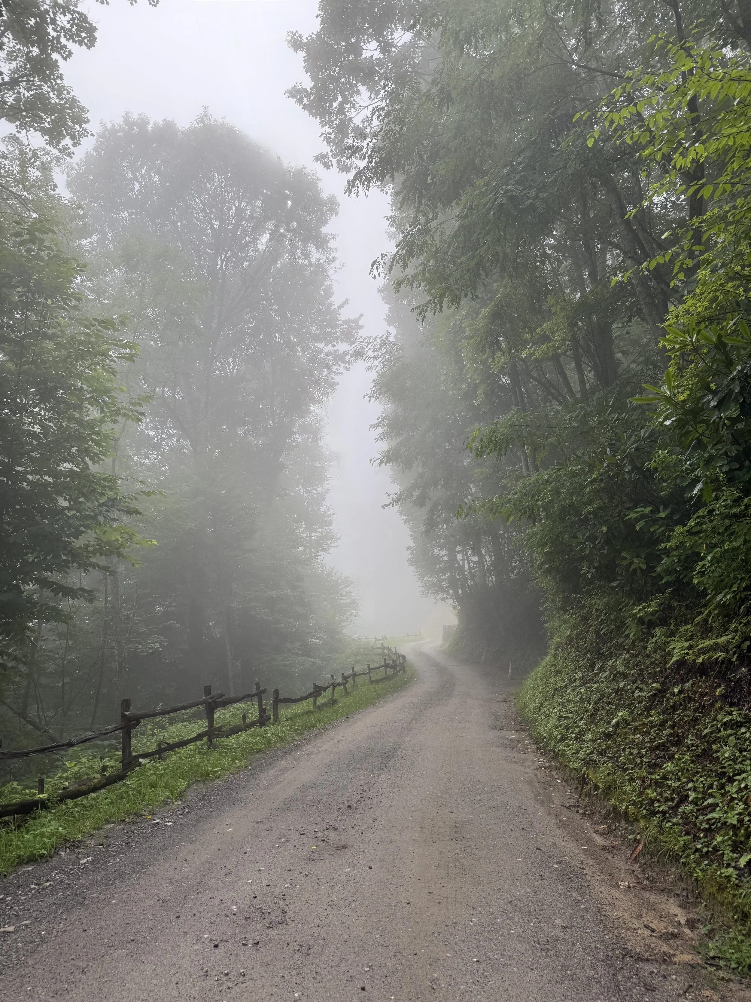 Smoky Falls Drive.jpeg