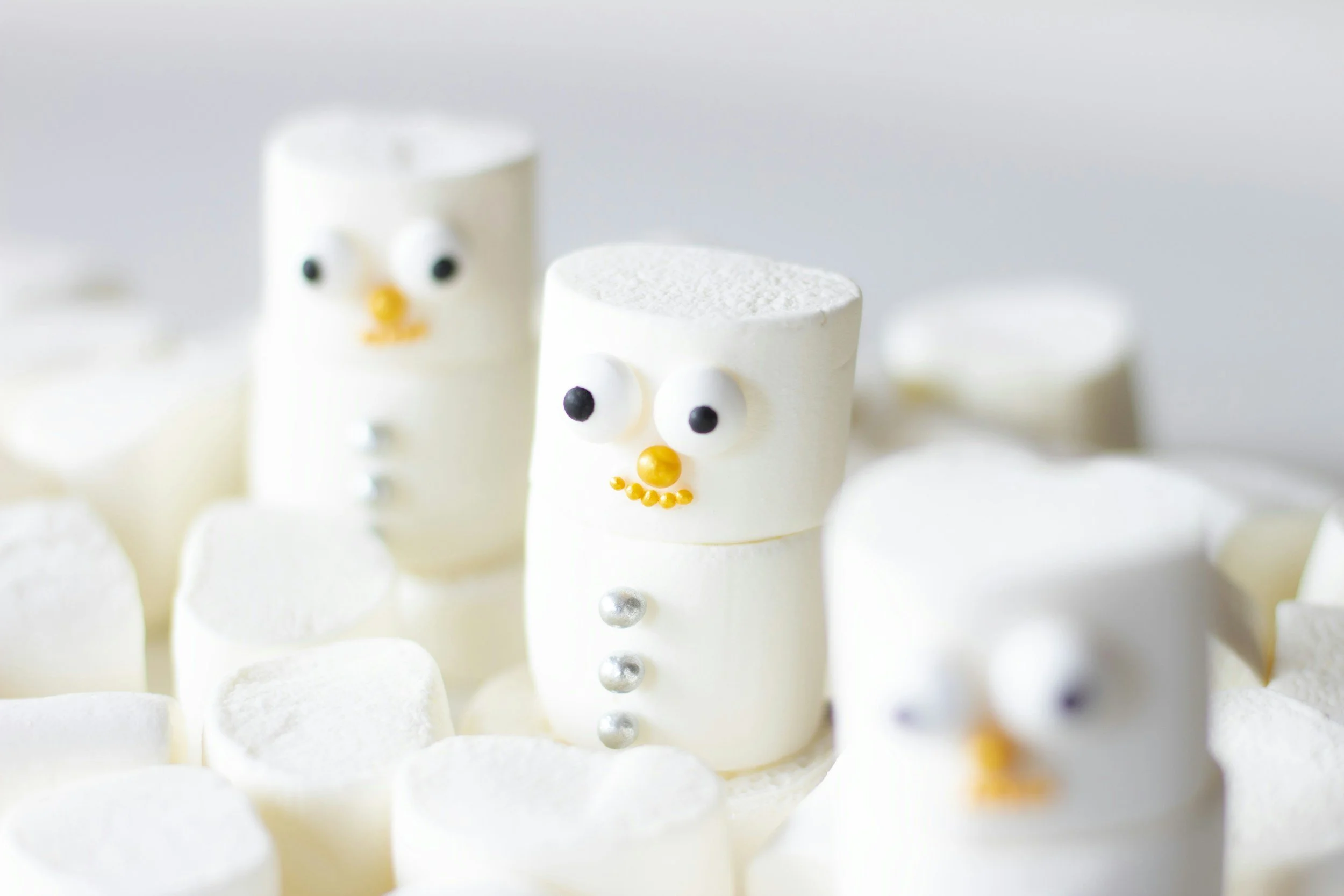Vortrag: Ernährung im Winter