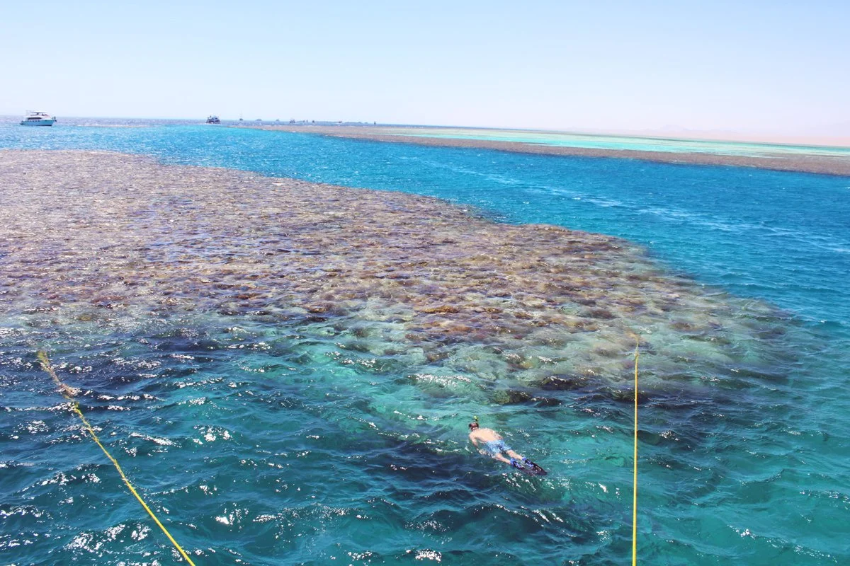 Ras Mohamed se encuentra en el extremo sur de la península del Sinaí, en una posición estratégica entre el golfo de Suez y el golfo de Aqaba.
