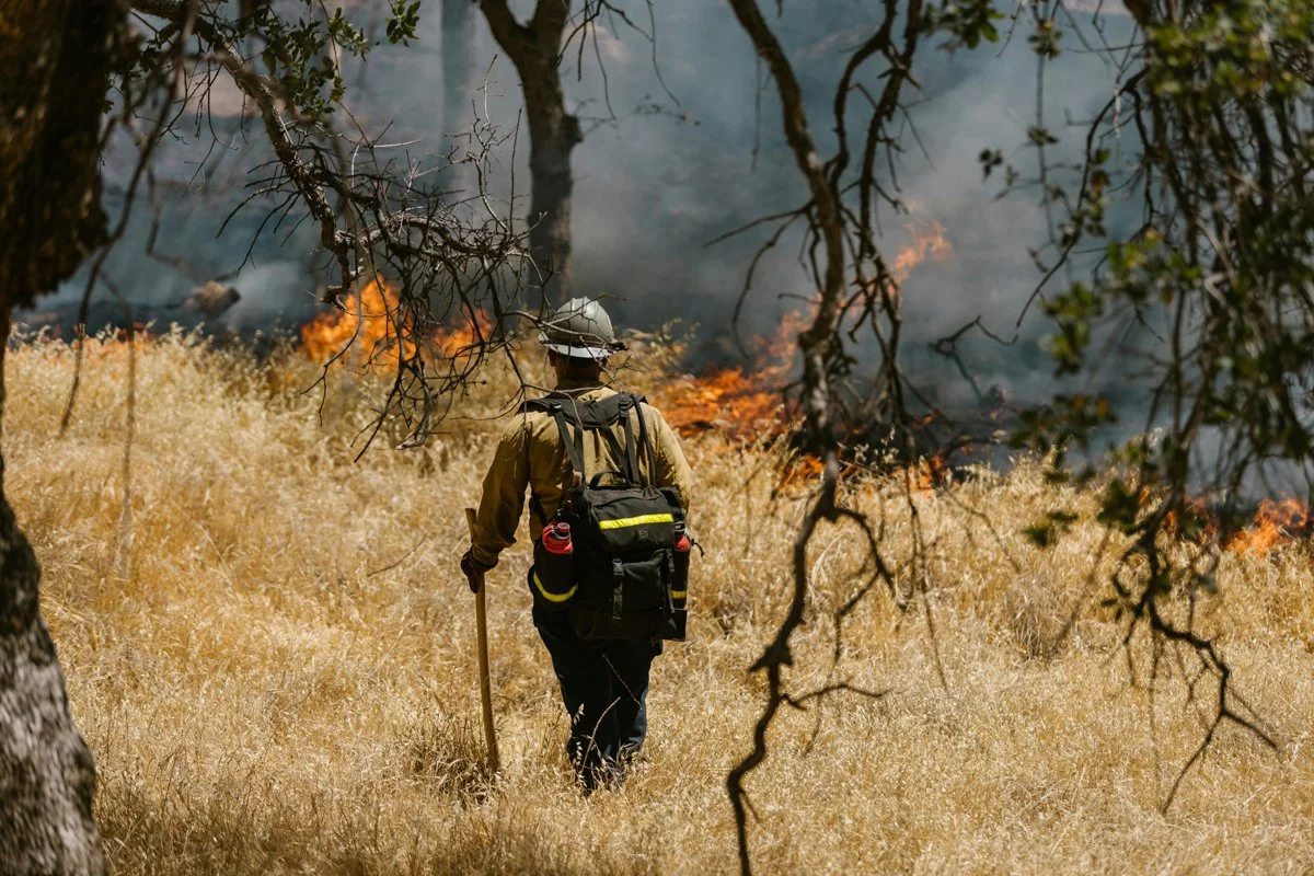 Europa se une contra el fuego: la ayuda internacional llega a España para combatir incendios devastadores.