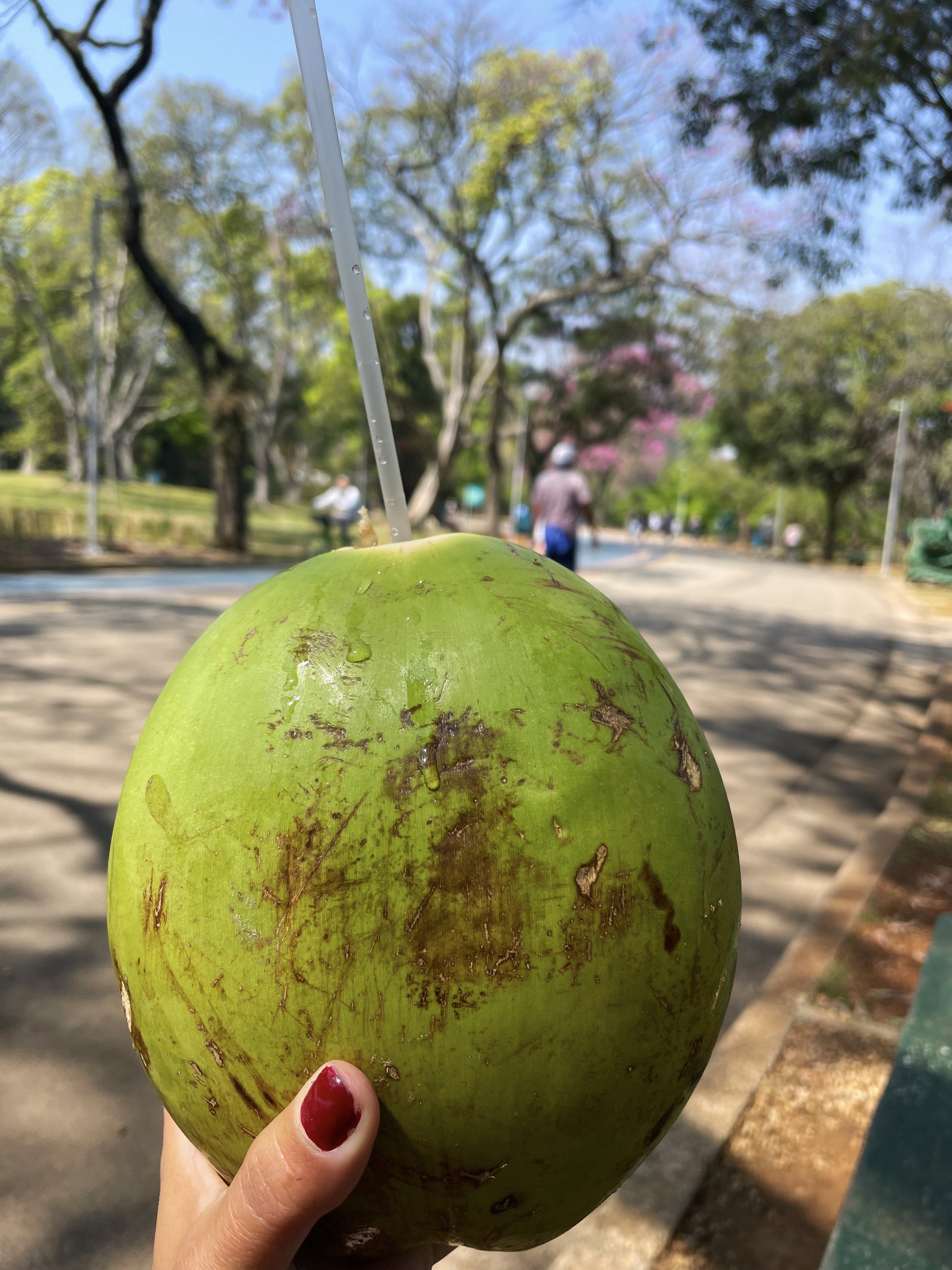 Ibirapuera coco.jpg