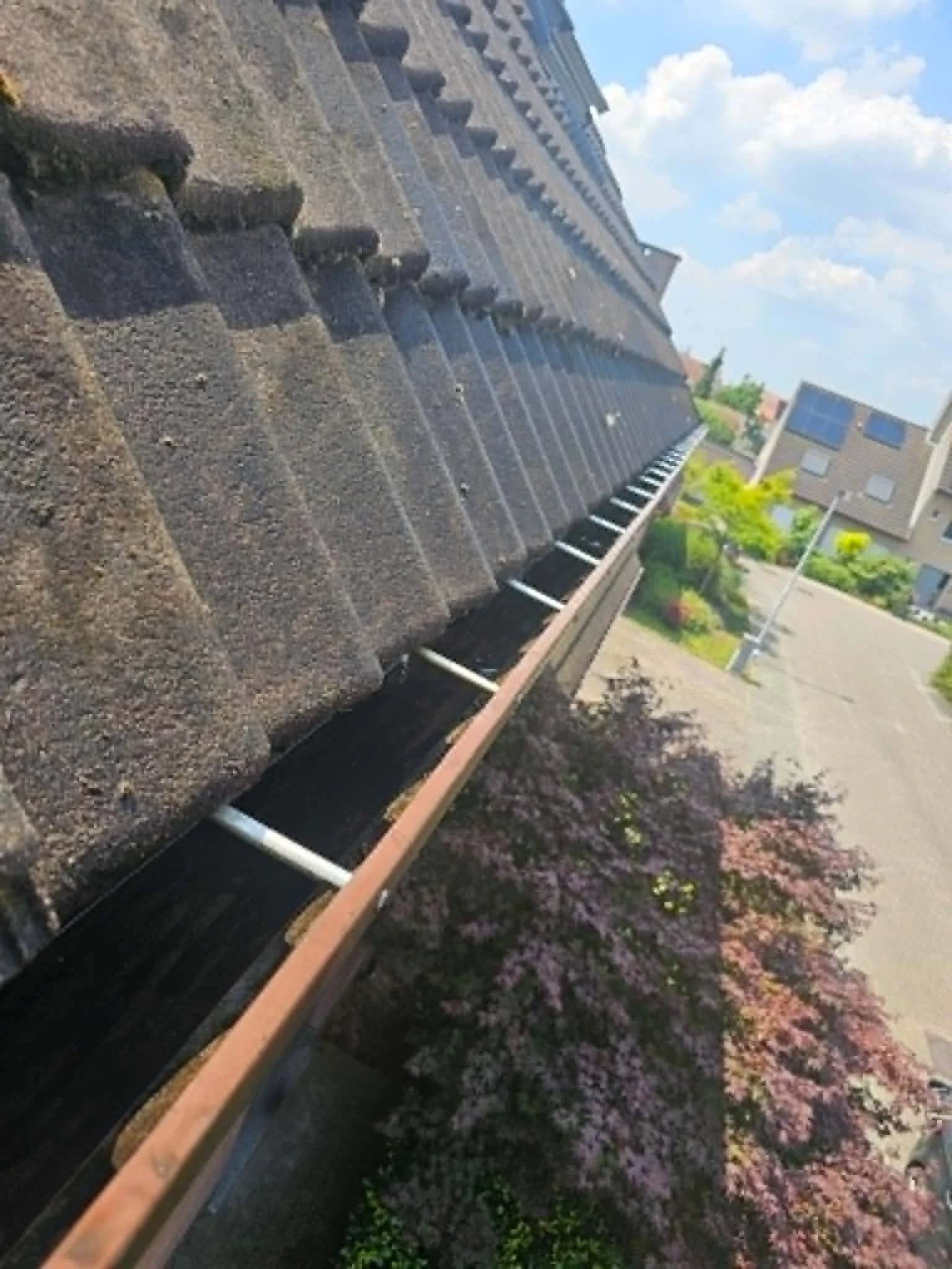 Afbeelding van een roodgeschilderde daken met zonnepanelen en een bloementuin erboven.