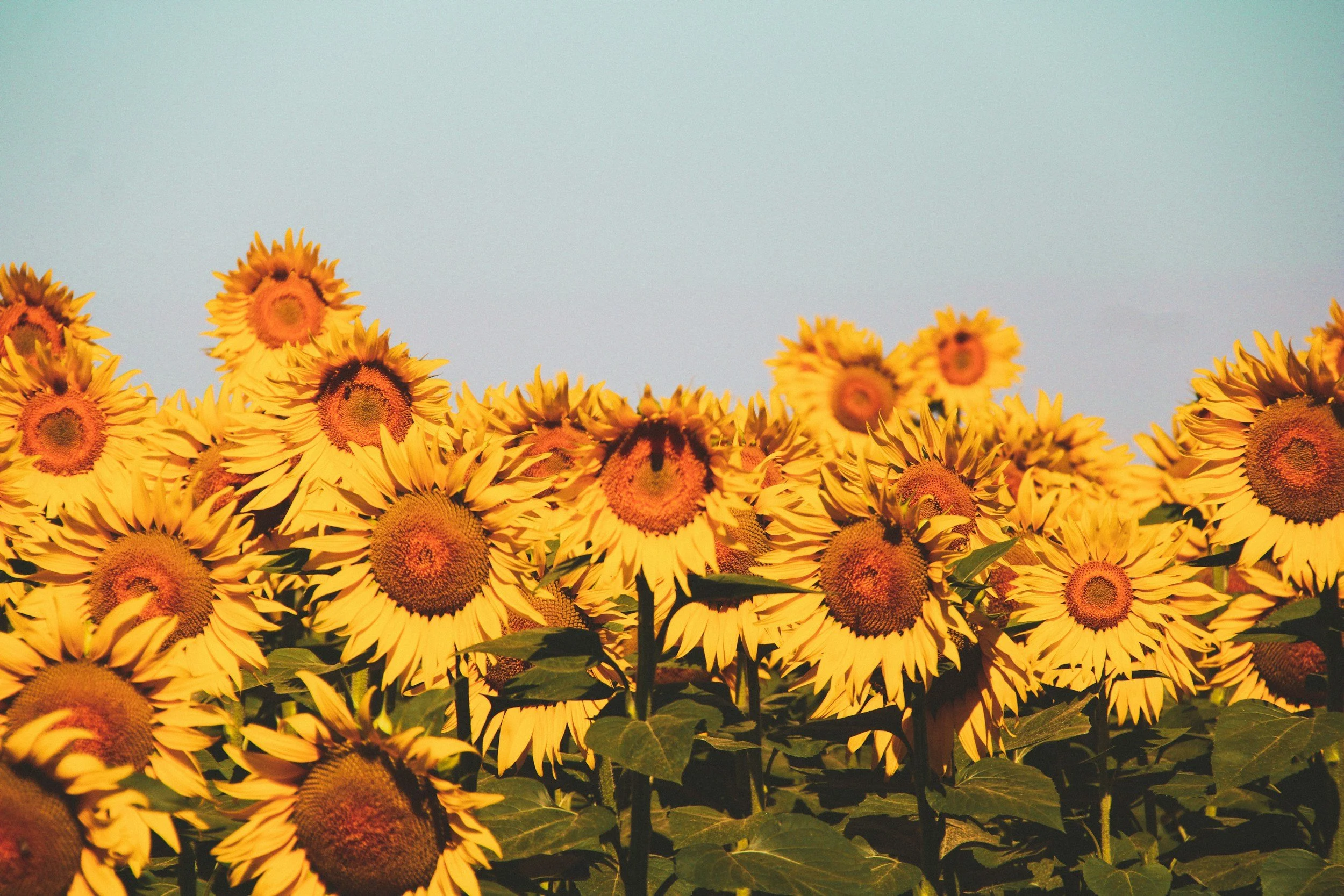 Challenging The “Not Good Enough” Therapist