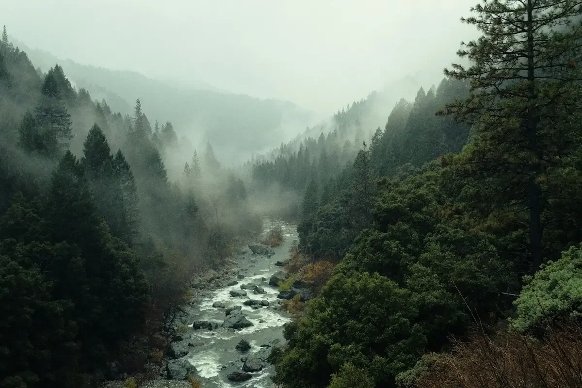 A misty view of a forested mountain valley with a narrow river flowing through the center, surrounded by dense green trees.