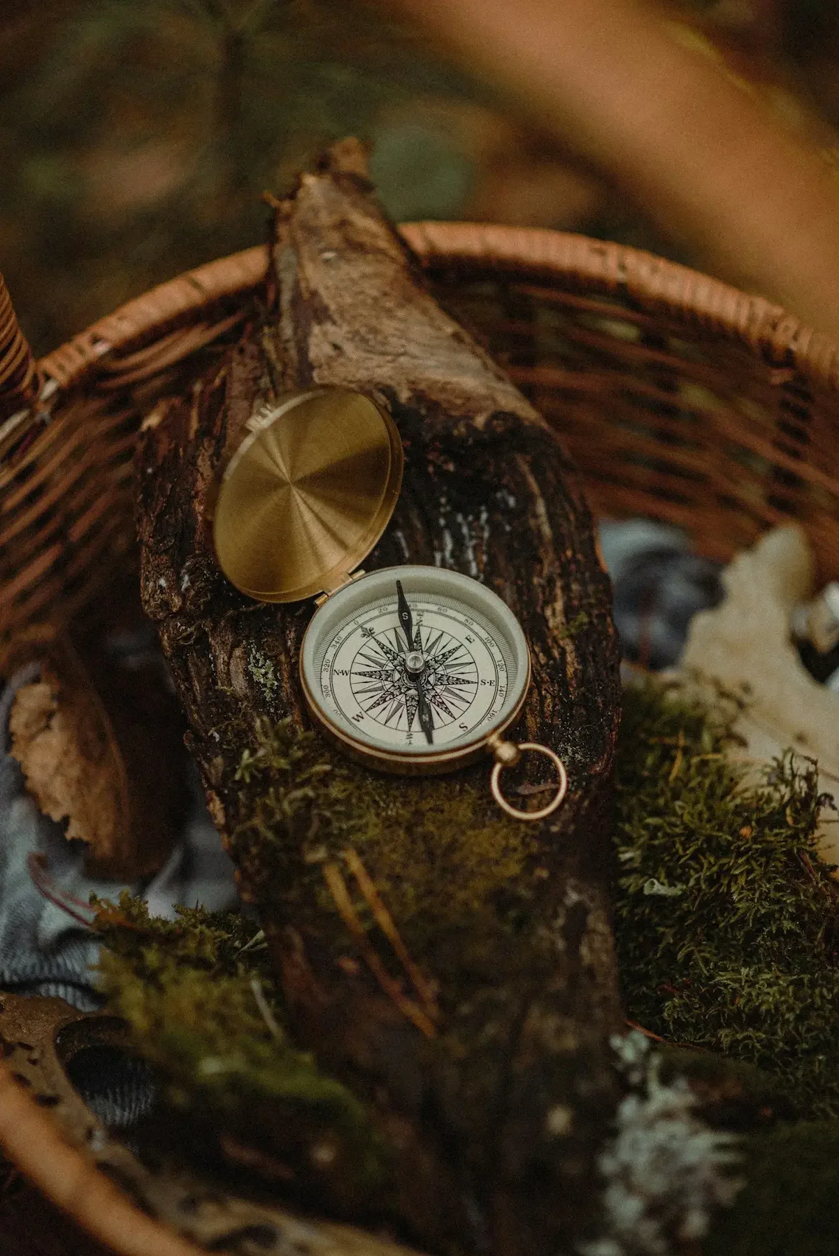 A compass placed on a moss-covered log inside a woven basket, surrounded by leaves and natural forest elements.