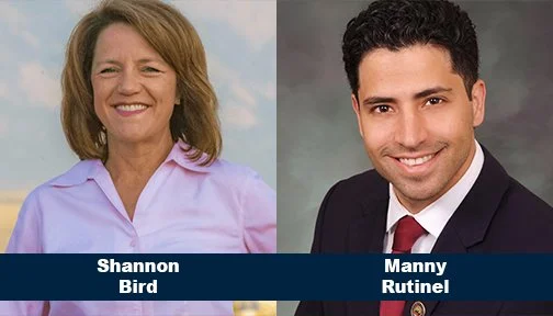 CANDIDATE PROFILES: 8th Congressional District 