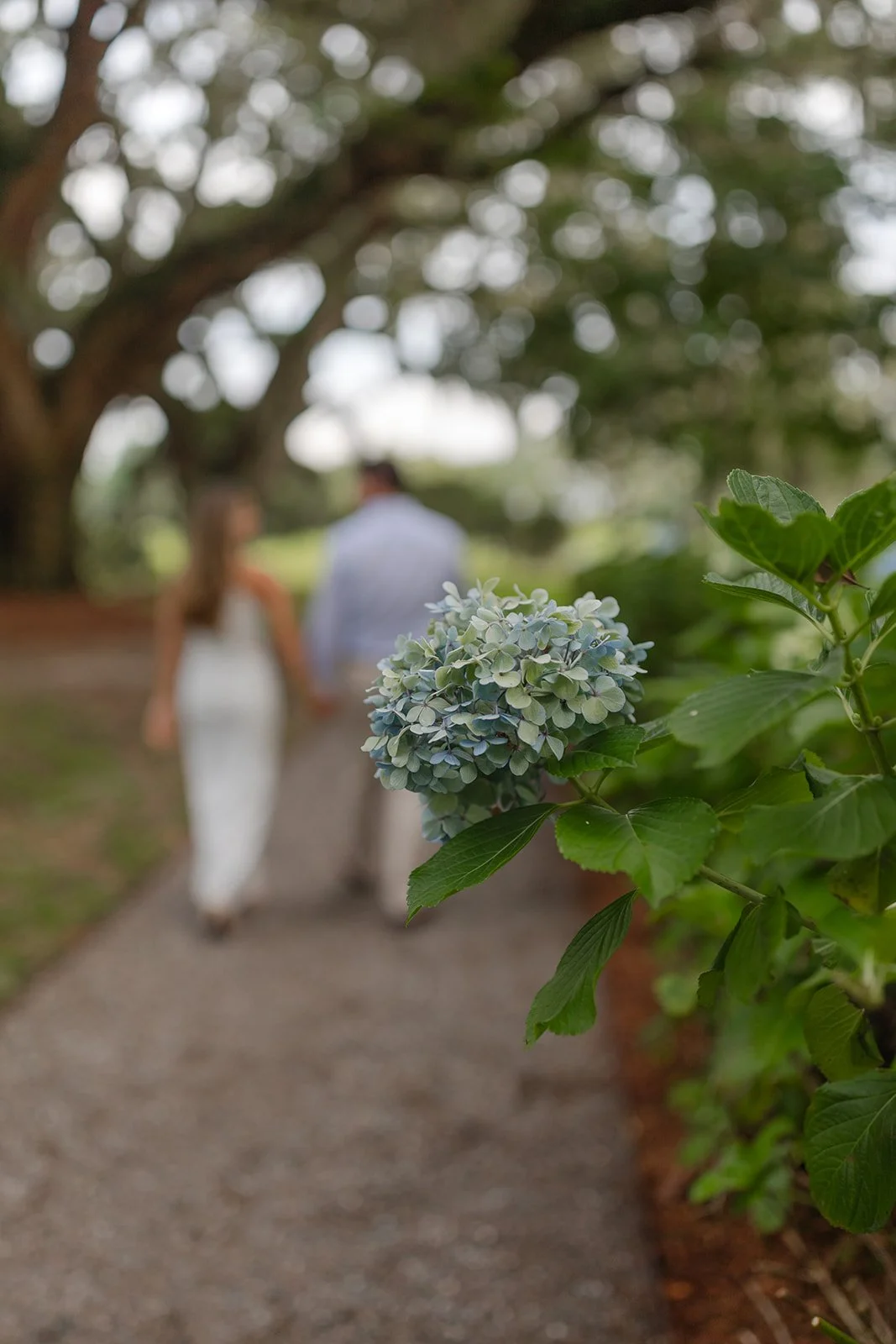 K+S_ Engaged-16.jpg