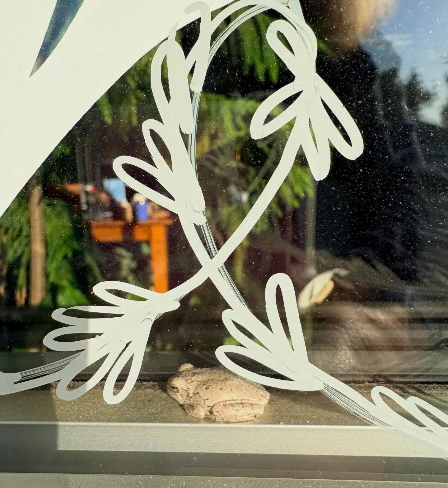 Surprise! When we planted our pollinator garden we weren&rsquo;t expecting a parking lot frog to find a home + assist the pollinators as a pest control agent 🥰
Not to mention the joy of discovering a delightful neighbor greeting us at the mkt front 