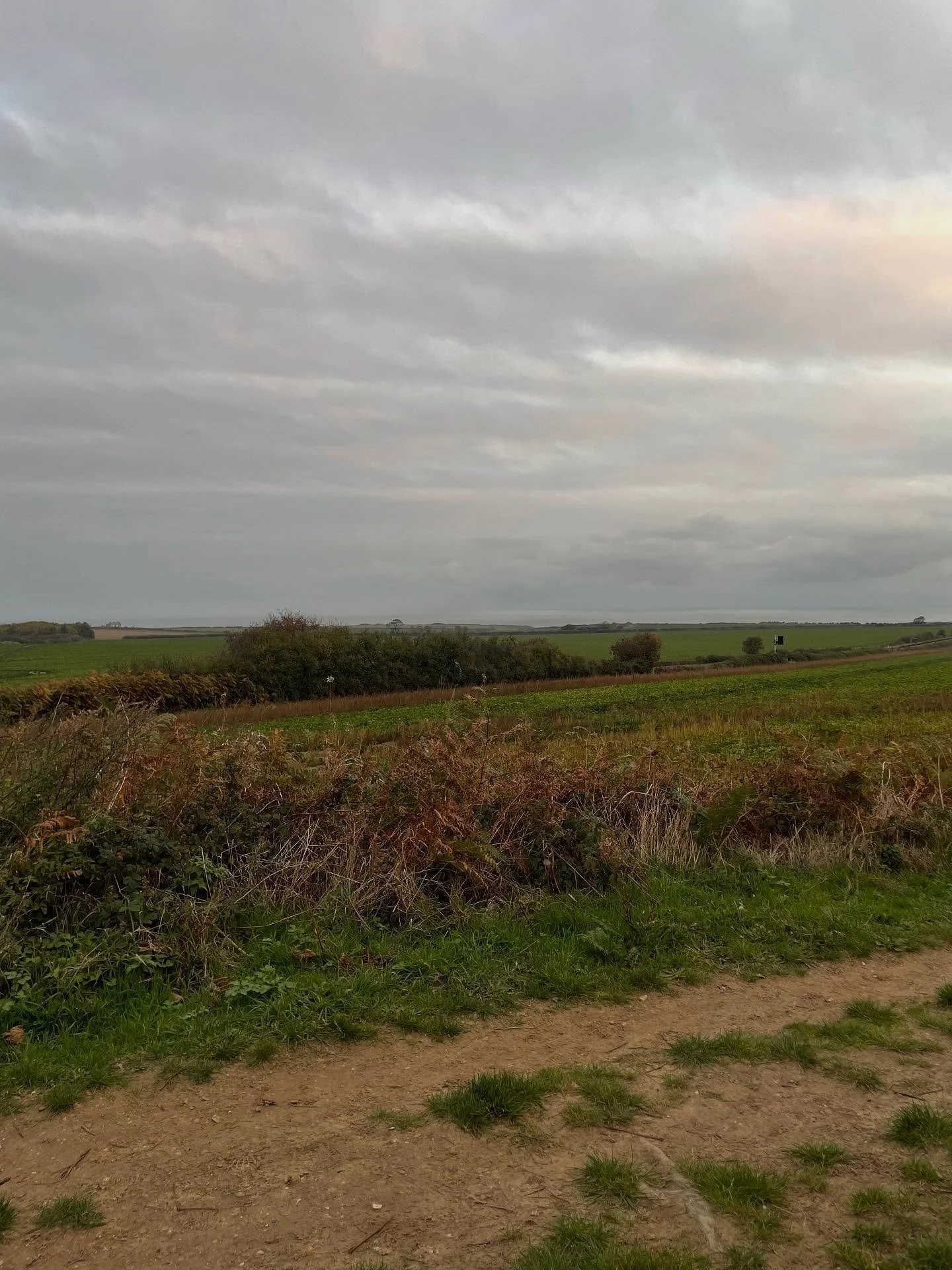 Coaching goes beyond exercise. When I talk with clients about lifestyle and decision making, a common topic comes up. 

&ldquo;How can I be more active and healthy away from the gym?&rdquo;

For me, this resonates most when I&rsquo;m spending time wi