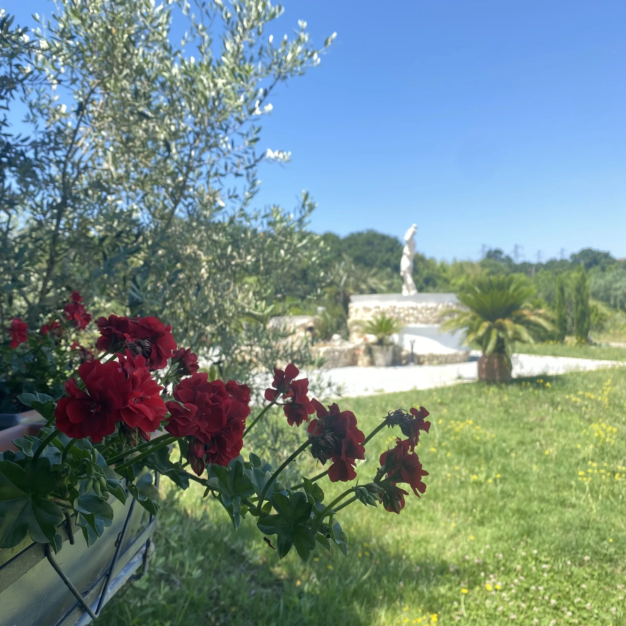 IMG_7192.jpeg