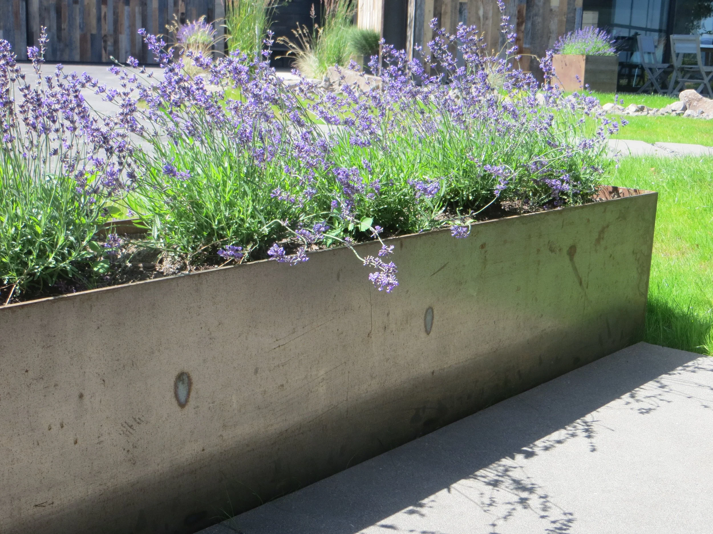 A rectangular metal planter box filled with purple flowering plants placed on a concrete sidewalk, with a grassy yard and outdoor furniture in the background.