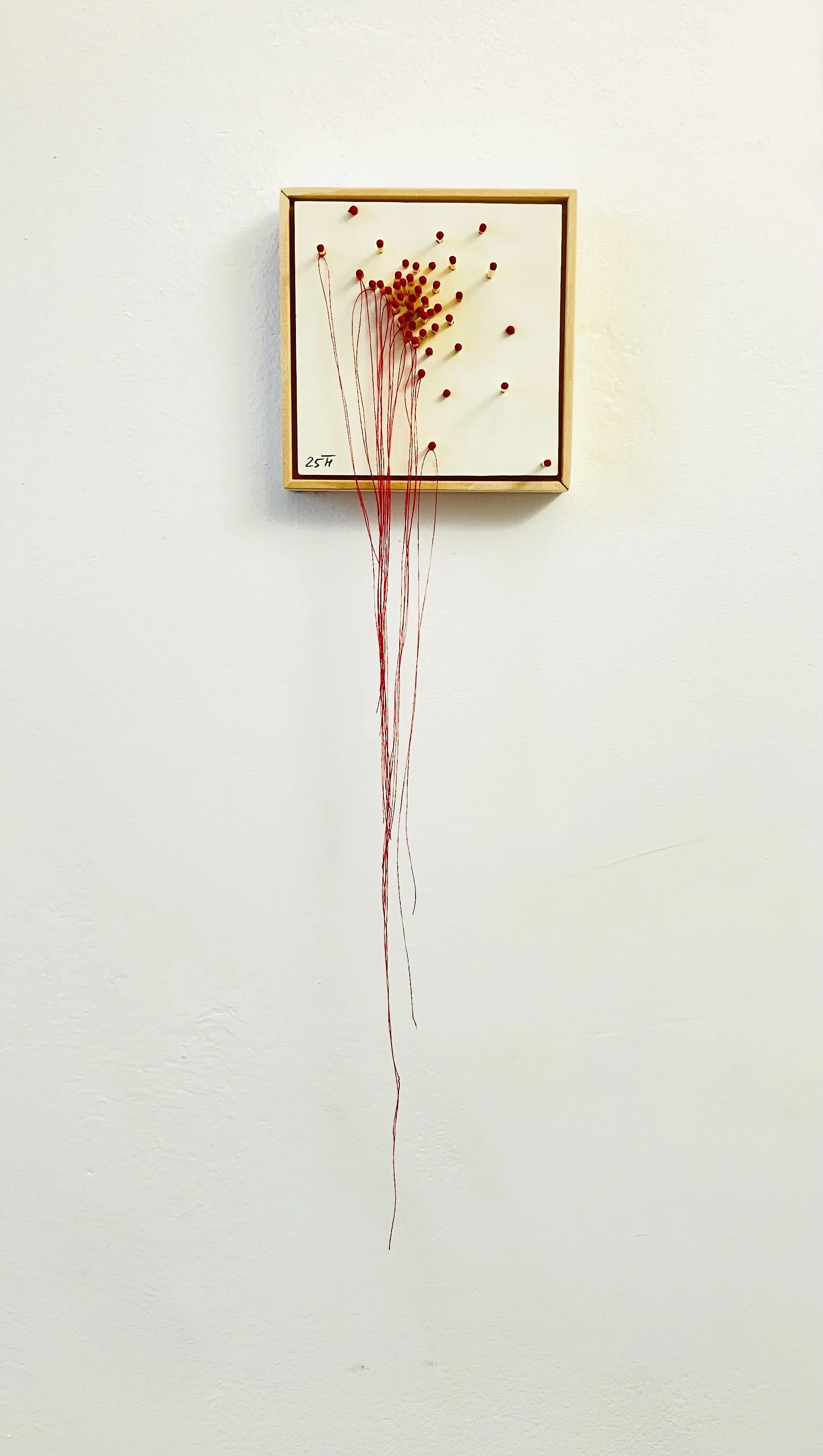  Fragile Ordnung I 2025  
Streichhölzer und Fäden auf Papier 
(47 X 12 cm)