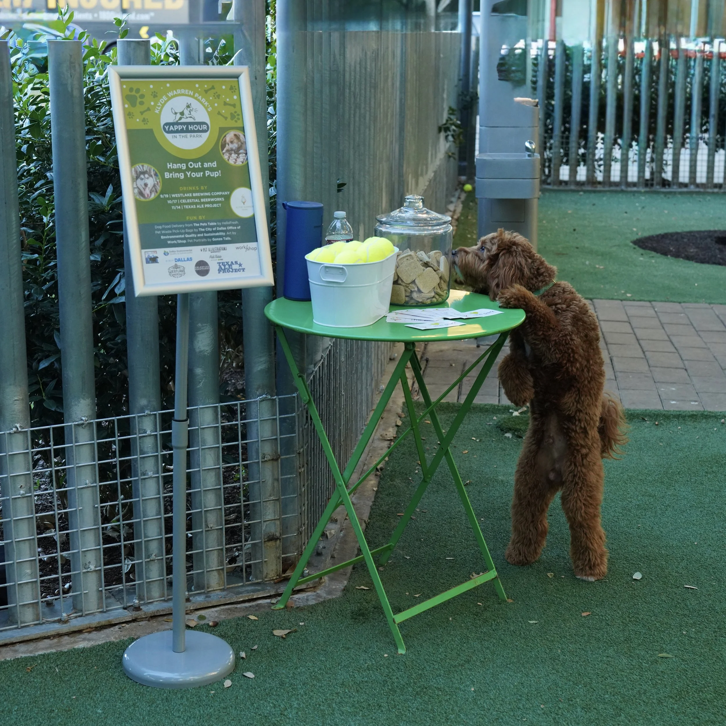 Yappy Hour — Klyde Warren Park