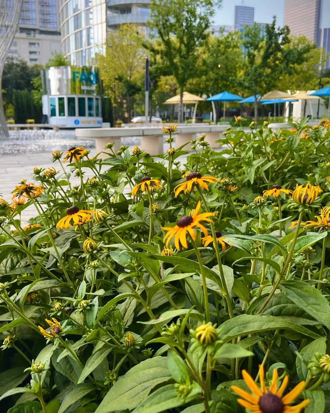 Congratulations to our landscape partner, @southern.botanical, who was recently awarded the prestigious Decade Award by the @landscape_assoc! 

The Decade Award recognizes companies that have maintained a property for at least 10 years following an i