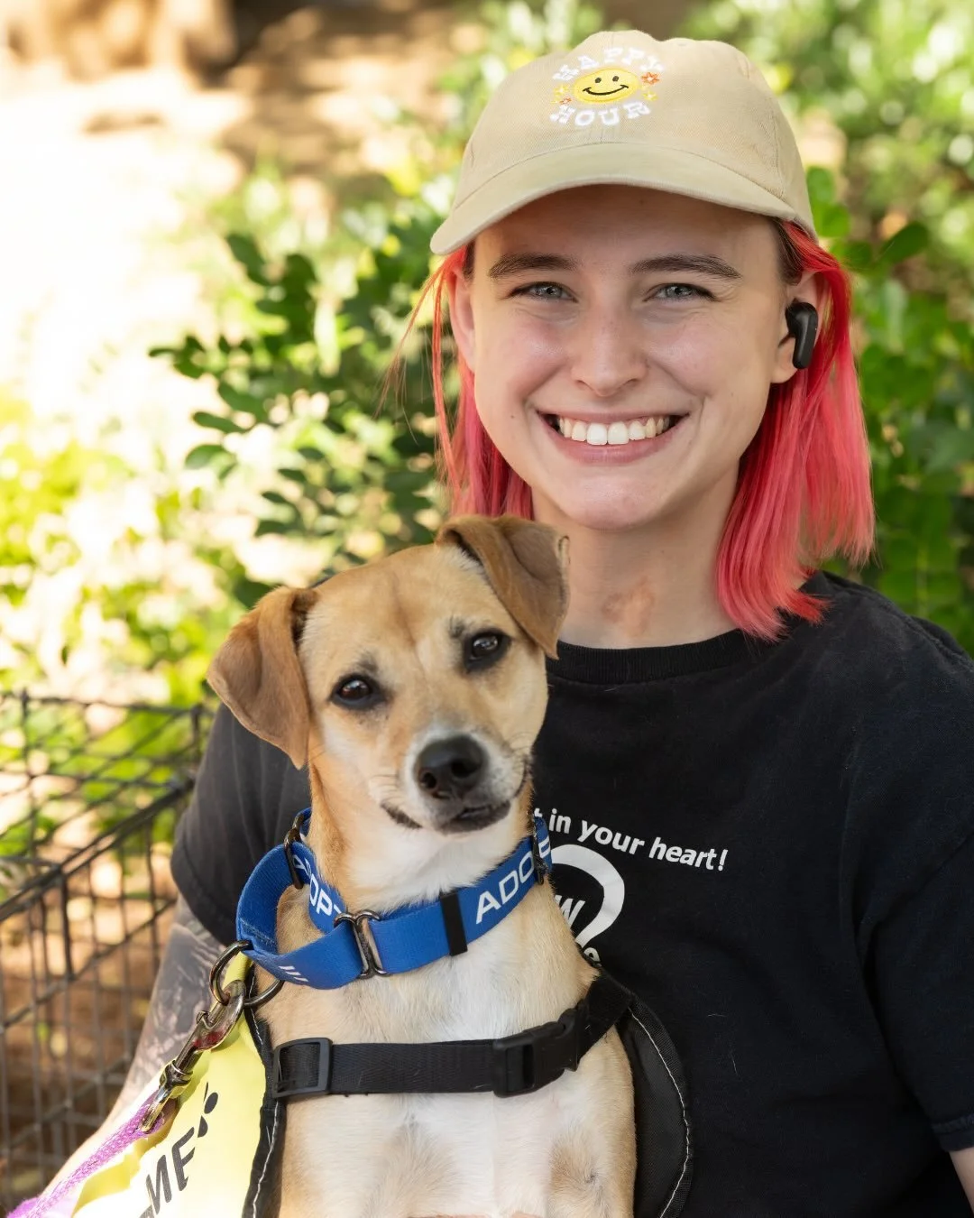Our first annual Dog Adoption Day on November 8 was a barking success!

The event led to the on-site adoption of 11 dogs. There were also over 100 adoption applications filed with the rescues who attended. We were thrilled to be able to help so many 