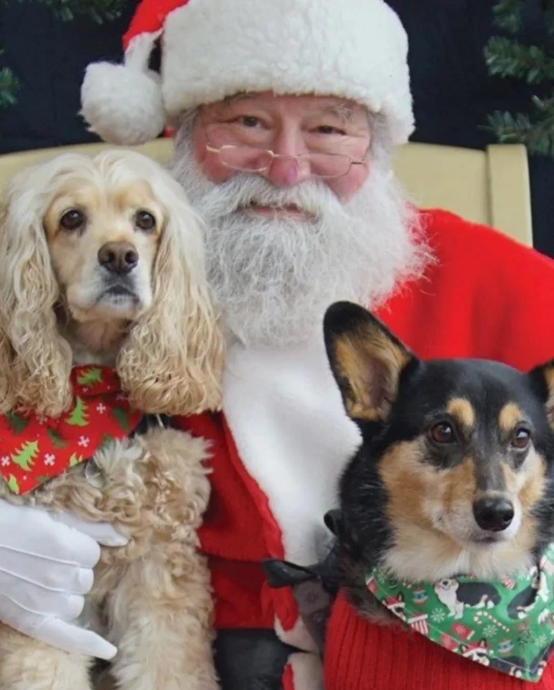 Santa Paws is Coming to Town!

The whole family (furry friends, too!) is invited to a festive afternoon in the Park this Saturday. Enjoy holiday photos, a &ldquo;paw-liday&rdquo; market, live music and plenty of cheer.

Event Highlights:
🎄 Live musi