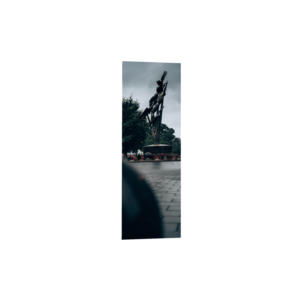 ptq_1_2_1688_0_2650_7952_0_false_ffffff_0_0_.png