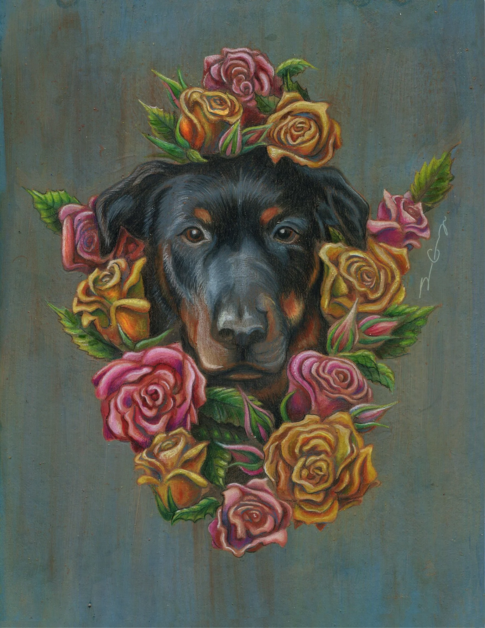 Rosa