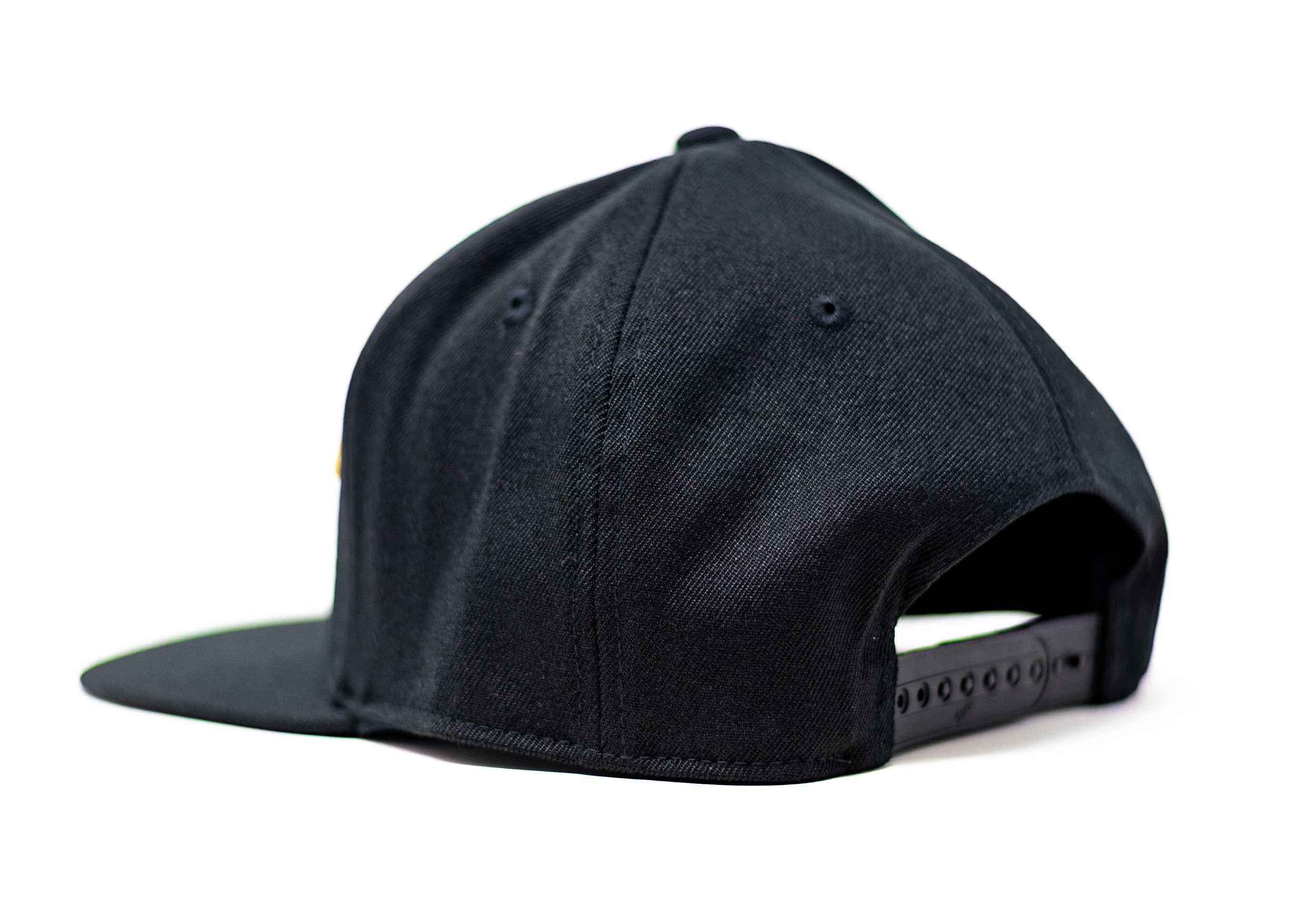 hwh marquee snap - back.png