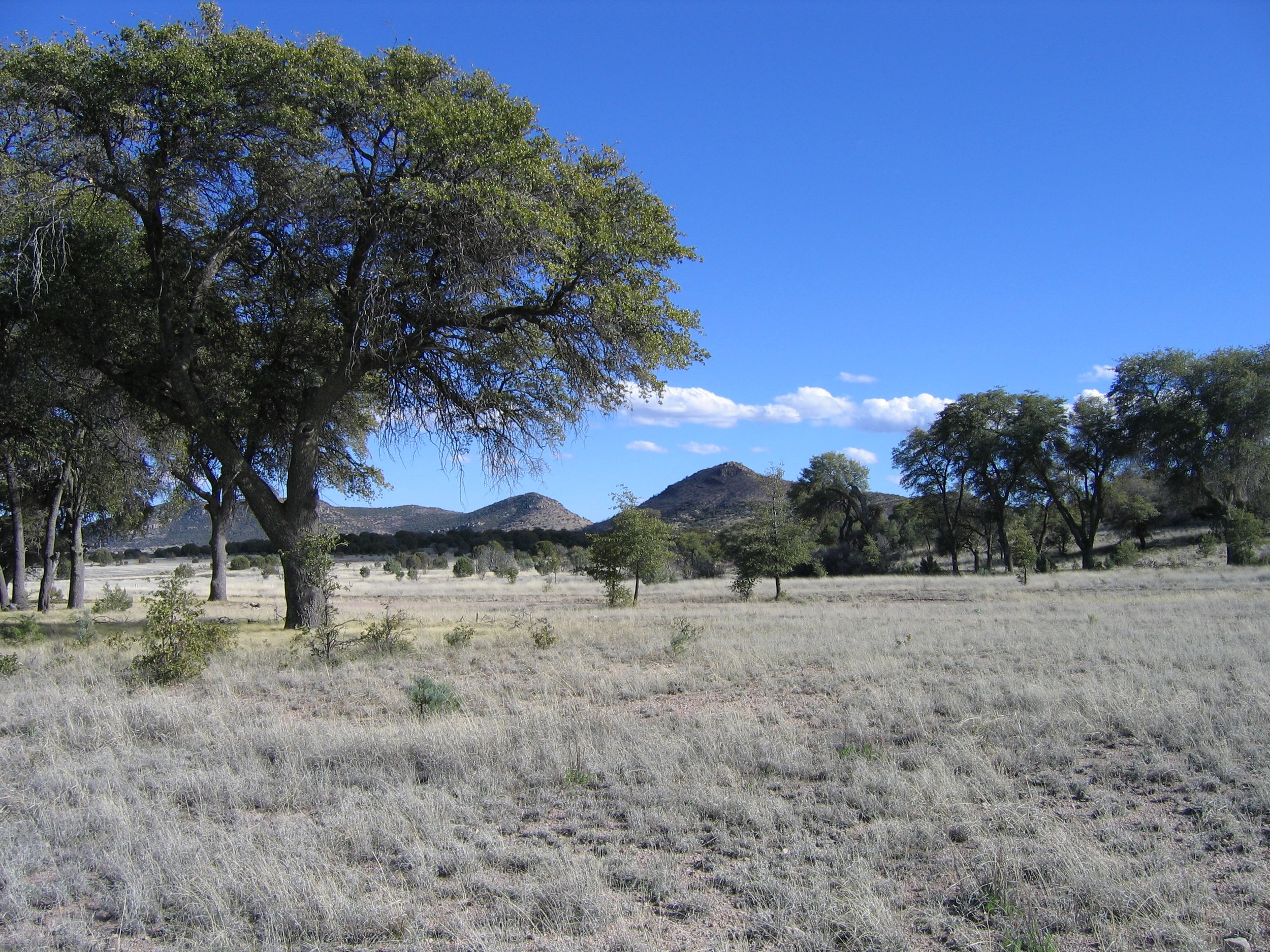 animas valley 260.jpg