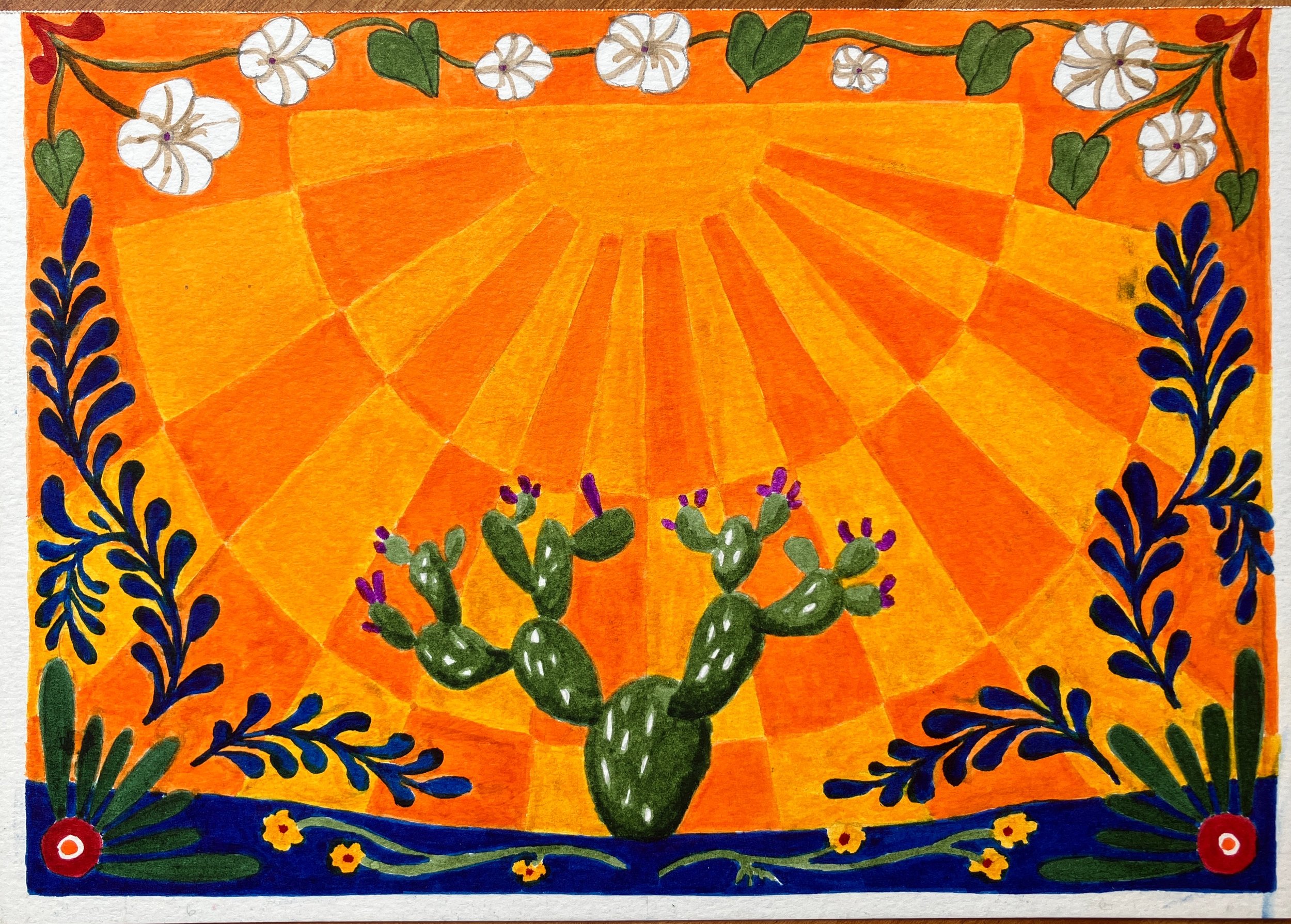 cactus 8, sunbeams.JPG