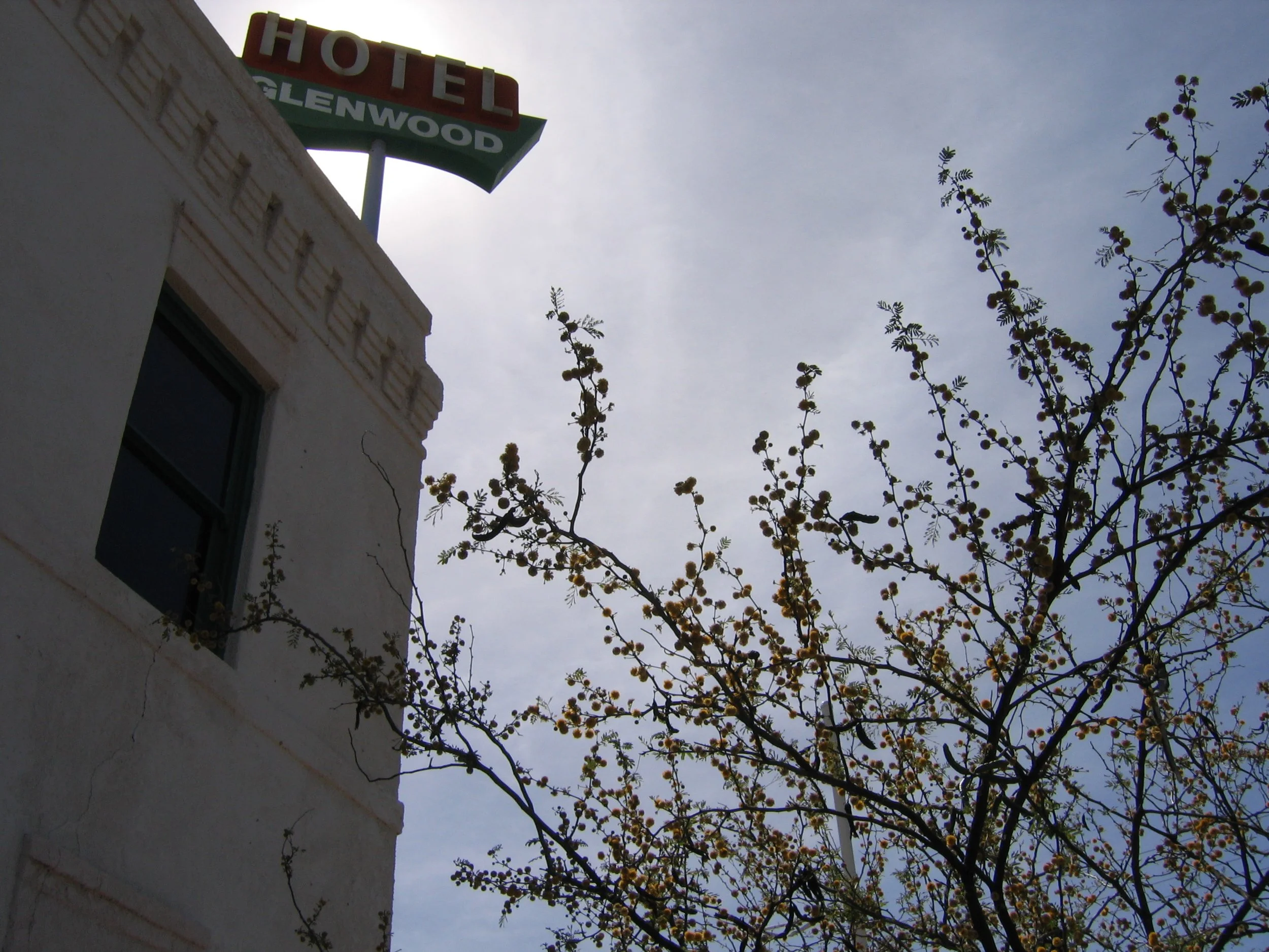 tucson 3-26 & 27-05 108.jpg