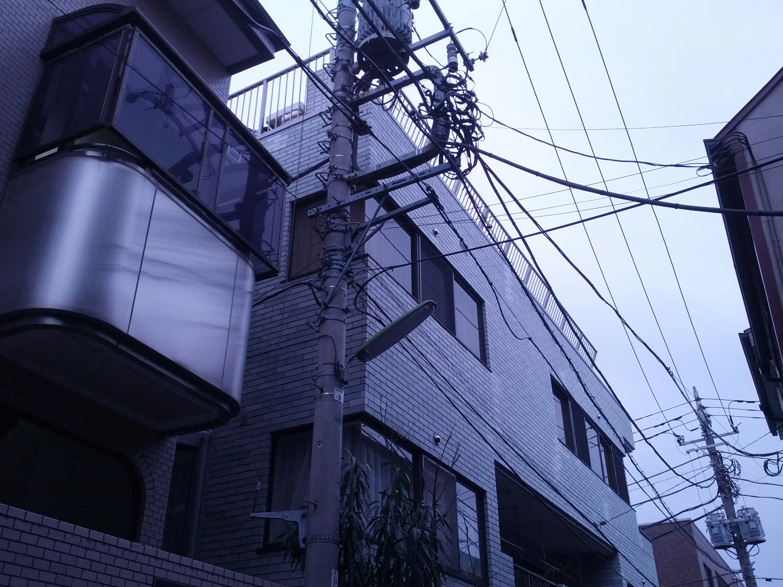 IMG_20140108_160437.jpg