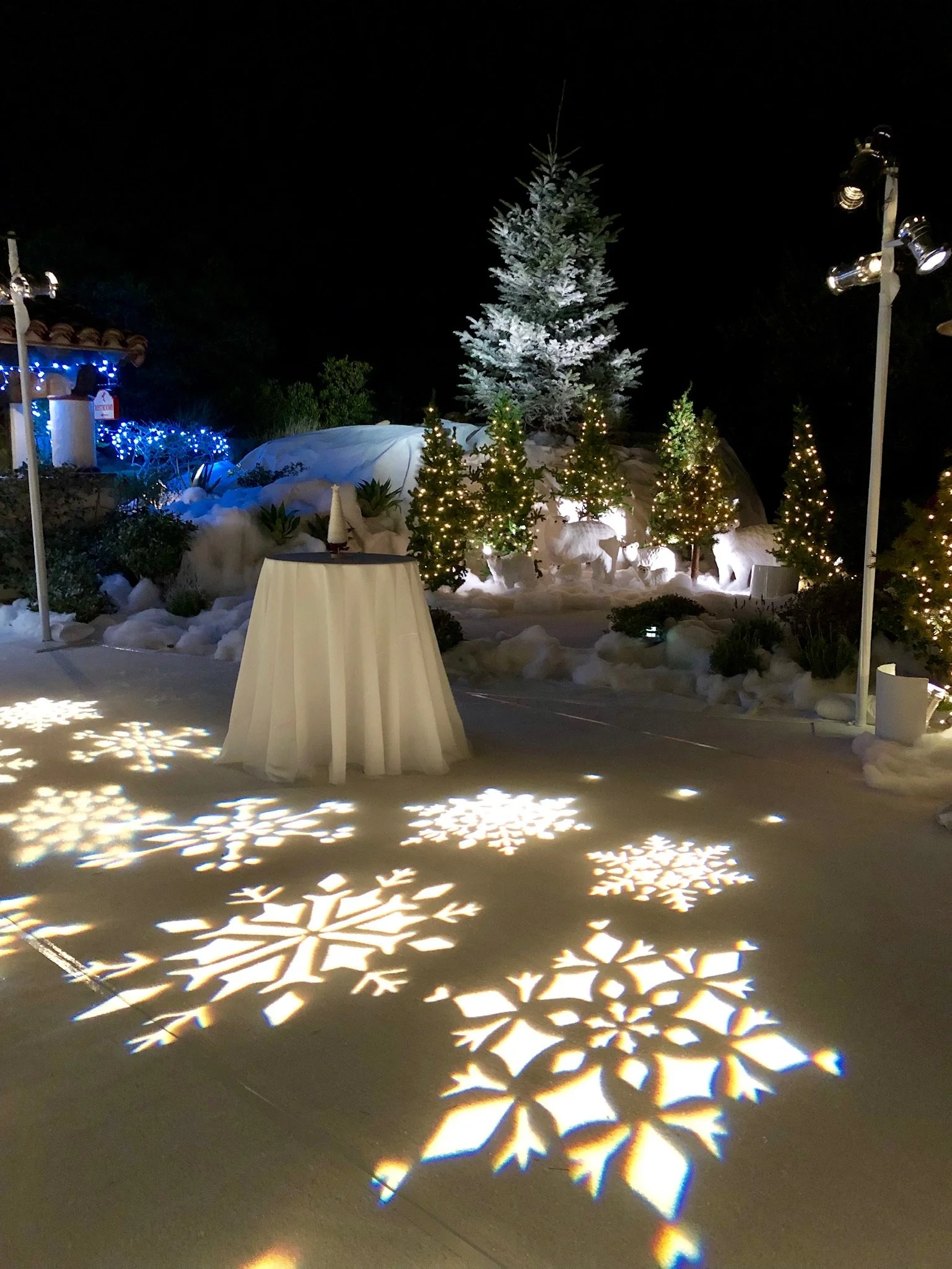 Gobo Lights — A Rental Connection