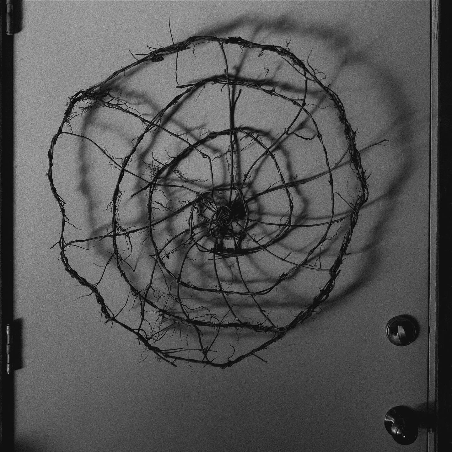 IVY SPIDERWEB

come make some 

wild foraged
zero waste
decor for the season

(or all seasons if you like spider energy as much as I do.)

there is a lot of shitty, trashy decor out there.
botanical art is an epic way to adorn your space and learn a 