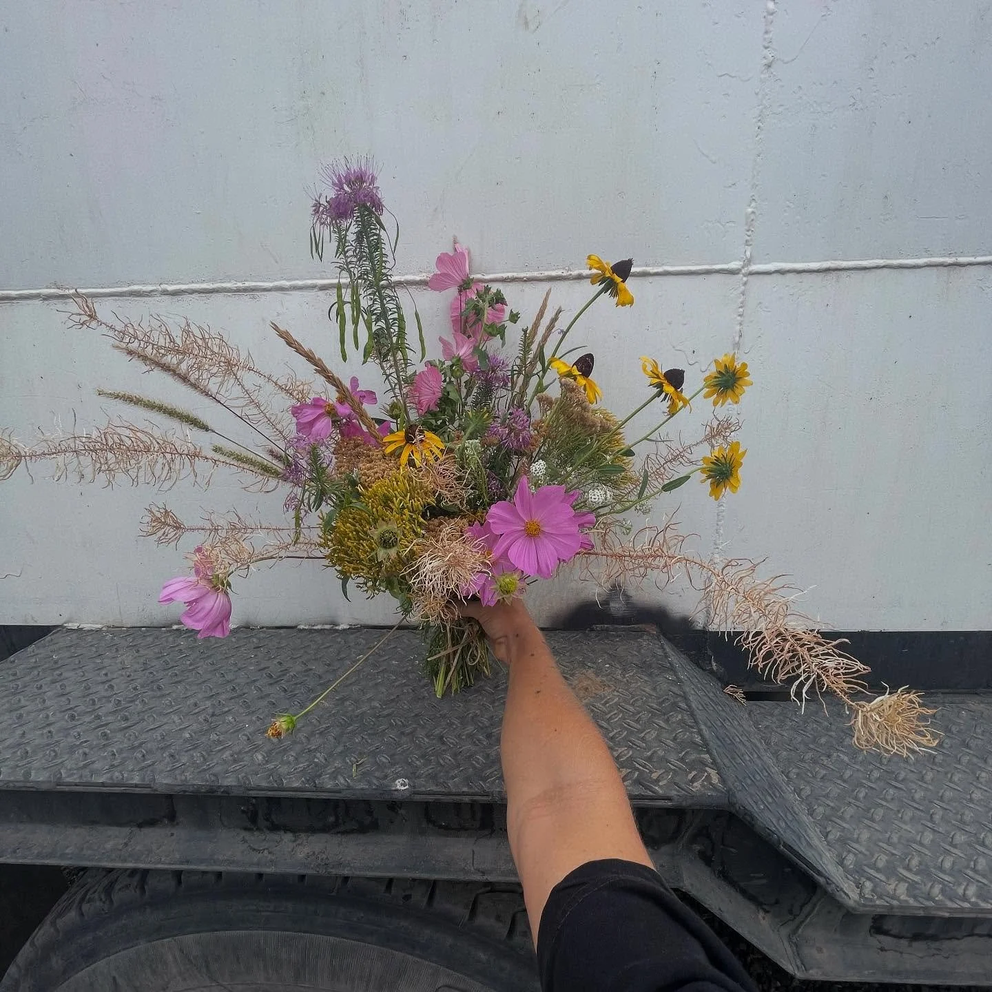 15 years playing with plants professionally.

21 years old started as a Floral Designer for large scale events and weddings.

23 years old started wild foraging for my designs.

30 years old started creating fully foraged dried botanical art for spac