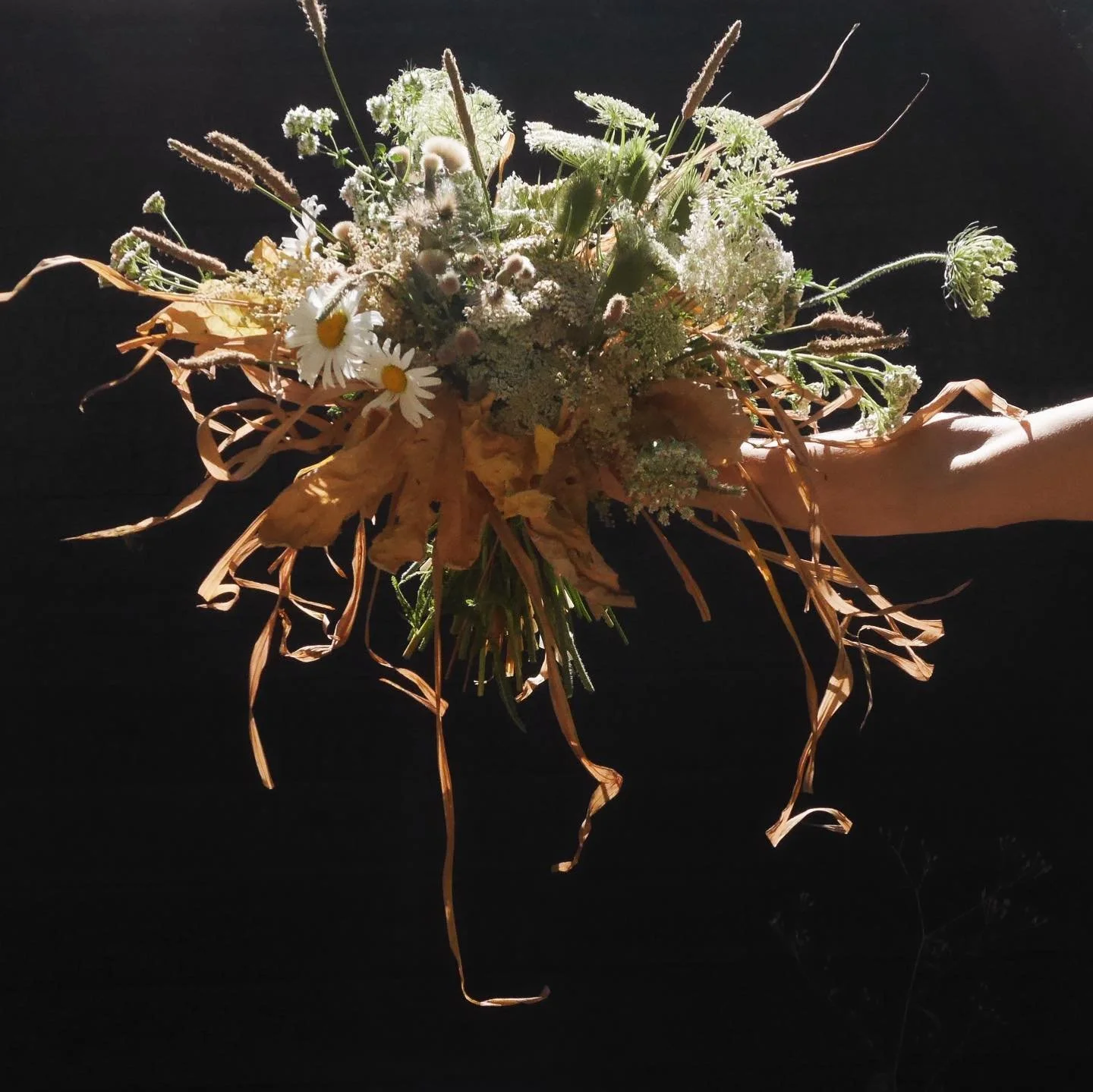 cute botanical moments
