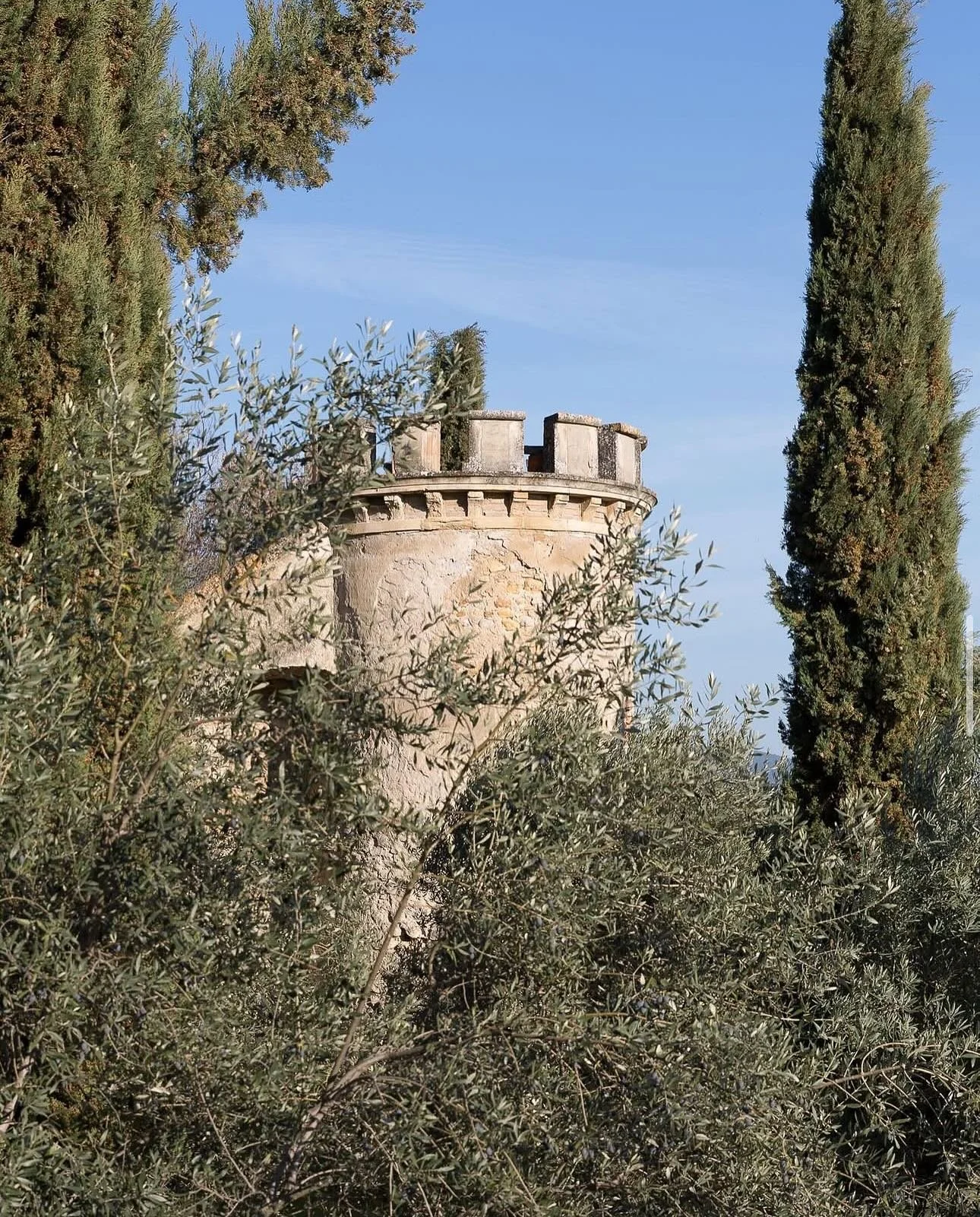 Did you know that our sister winery, @chateauderouanne makes estate-grown olive oil? The olives are grown on the same terroir as Rouanne wines, hand-harvested by our french colleagues, pressed in the local Moulin, bottled &amp; shipped across the oce