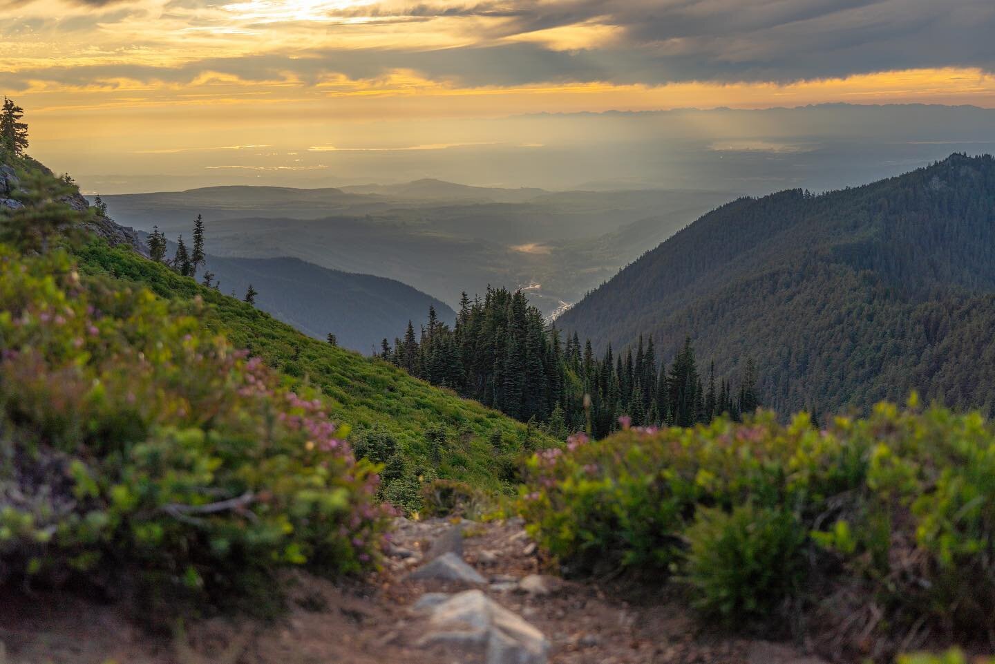 86,400 seconds in a day&mdash;how do you make the most of those meaningful moments? For me, mountain time is never wasted.
.
Sunset hike to Tolmie Peak Fire Lookout in Mount Rainier National Park last month clearly did not disappoint. I mean, views o