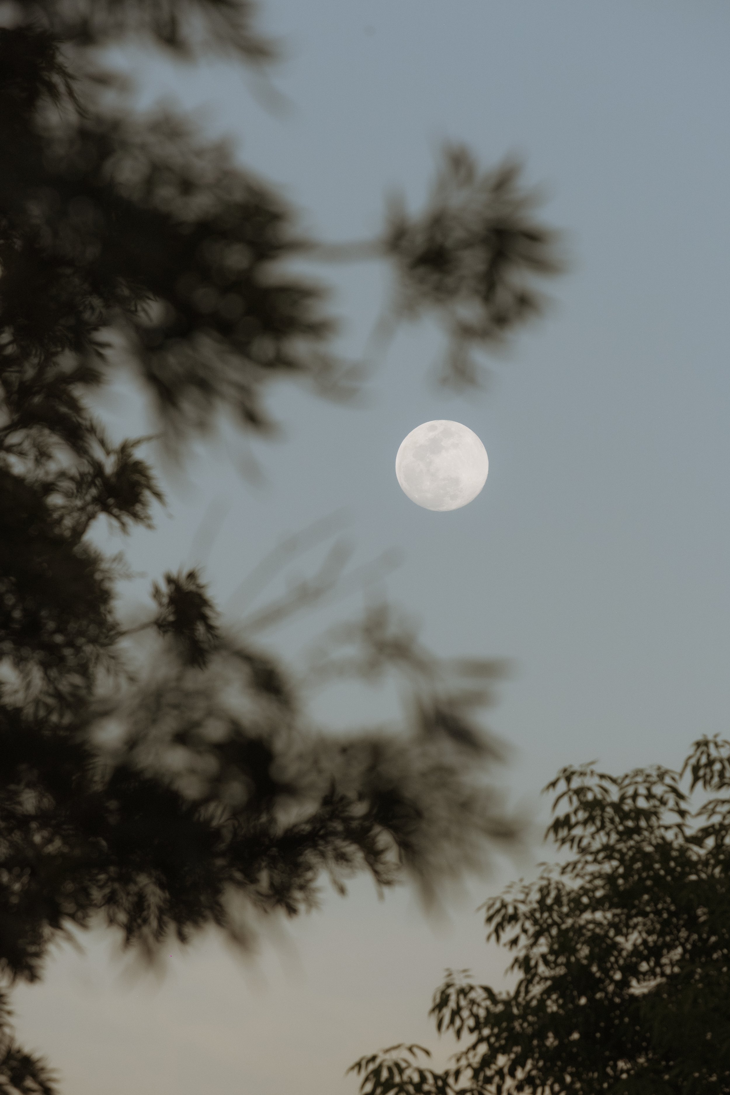 Valeria y Daniel-906.jpg