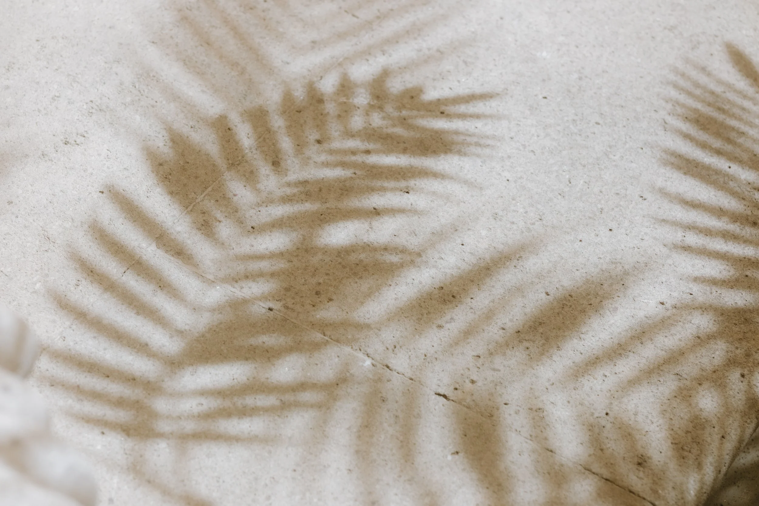 Andrea y Sumer-234.jpg