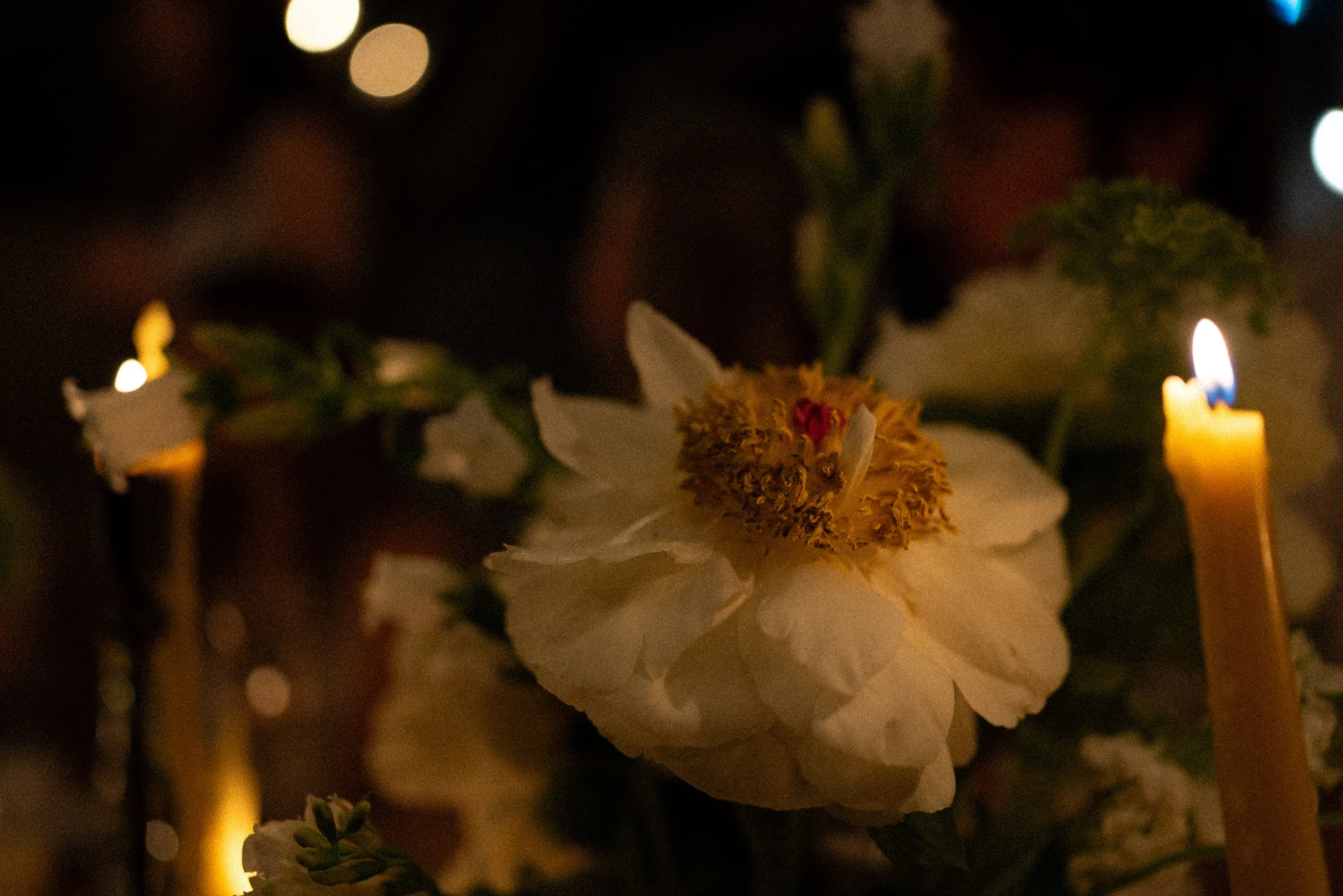 Documentary style wedding photography of couple celebrating engagement with loved ones